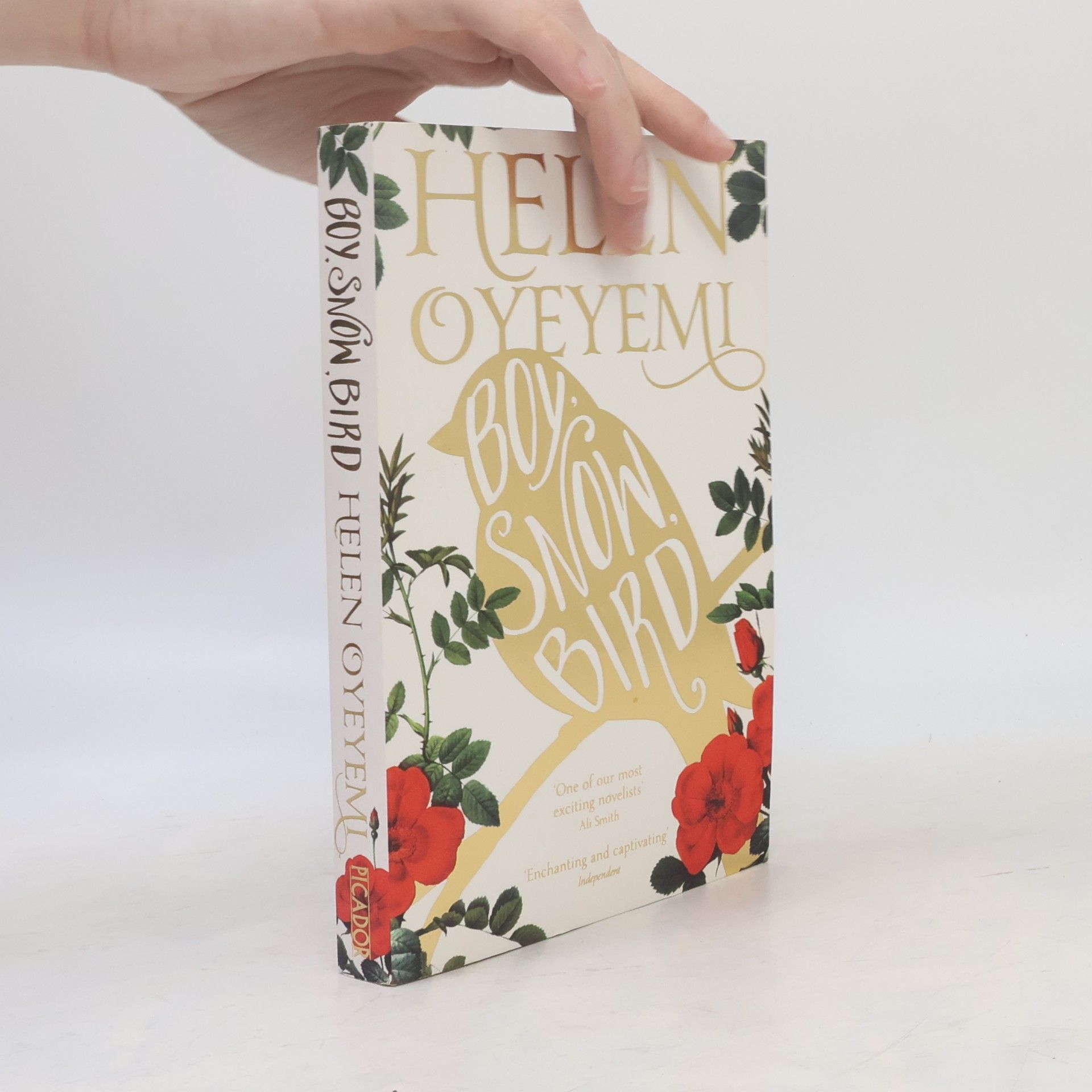Helen Oyeyemi Boy, snow, bird