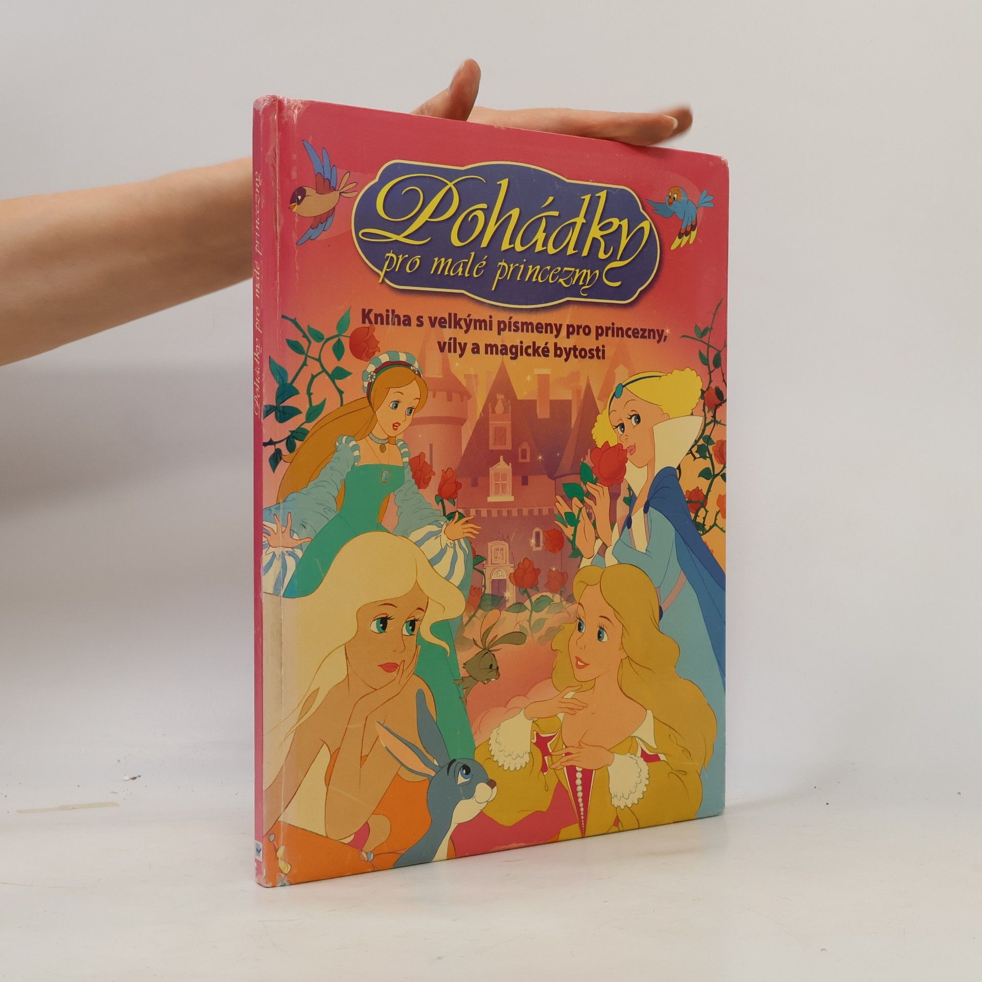 Van Gool Pohádky pro malé princezny