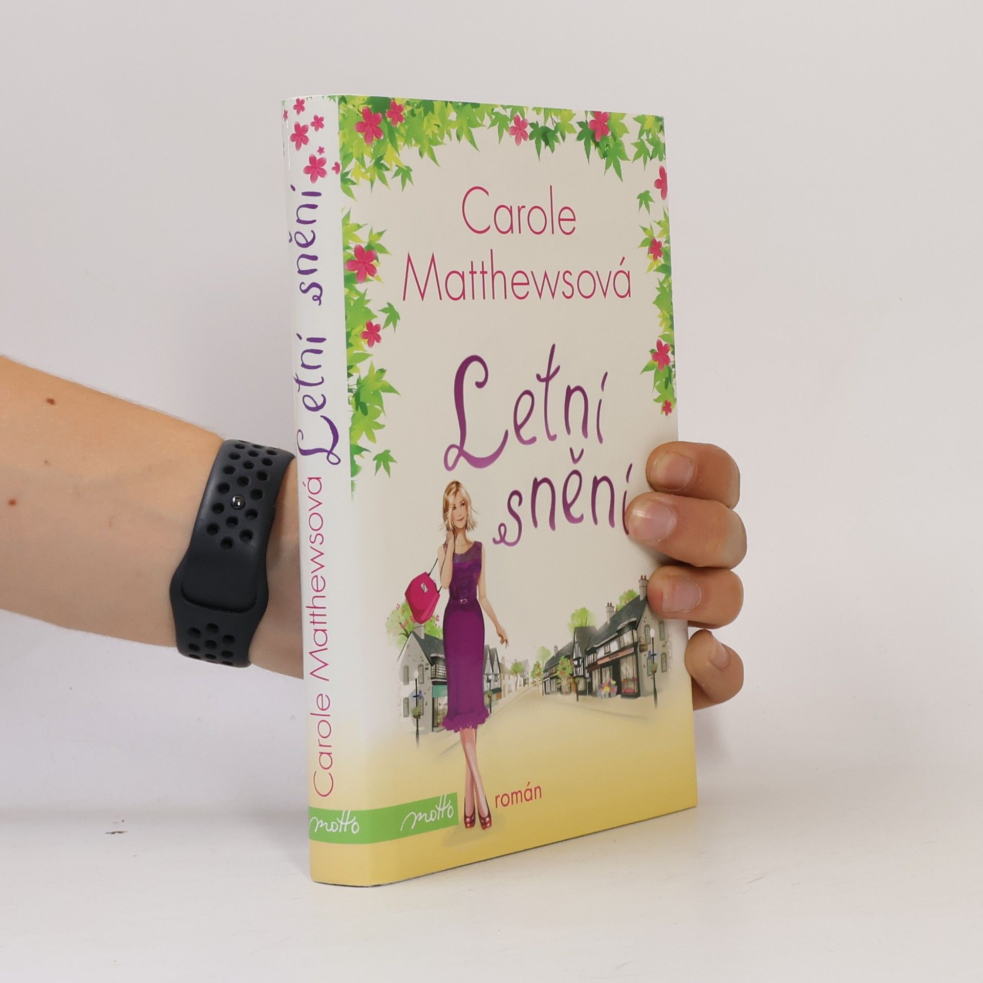 Carole Matthews Letní snění