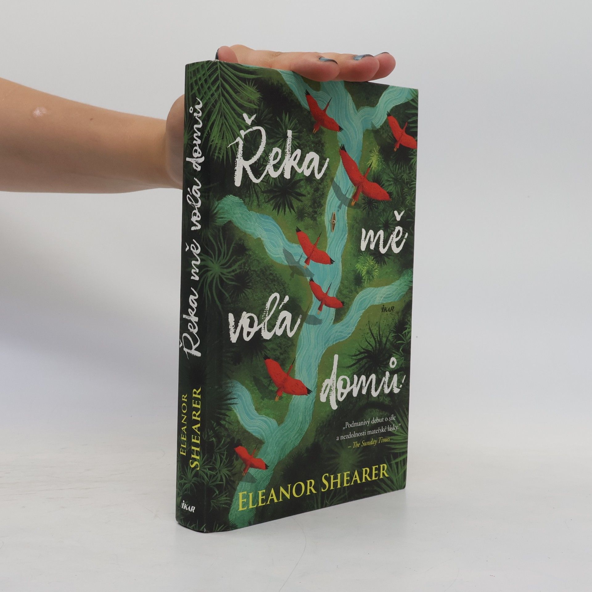 Petra Diestlerová Řeka mě volá domů