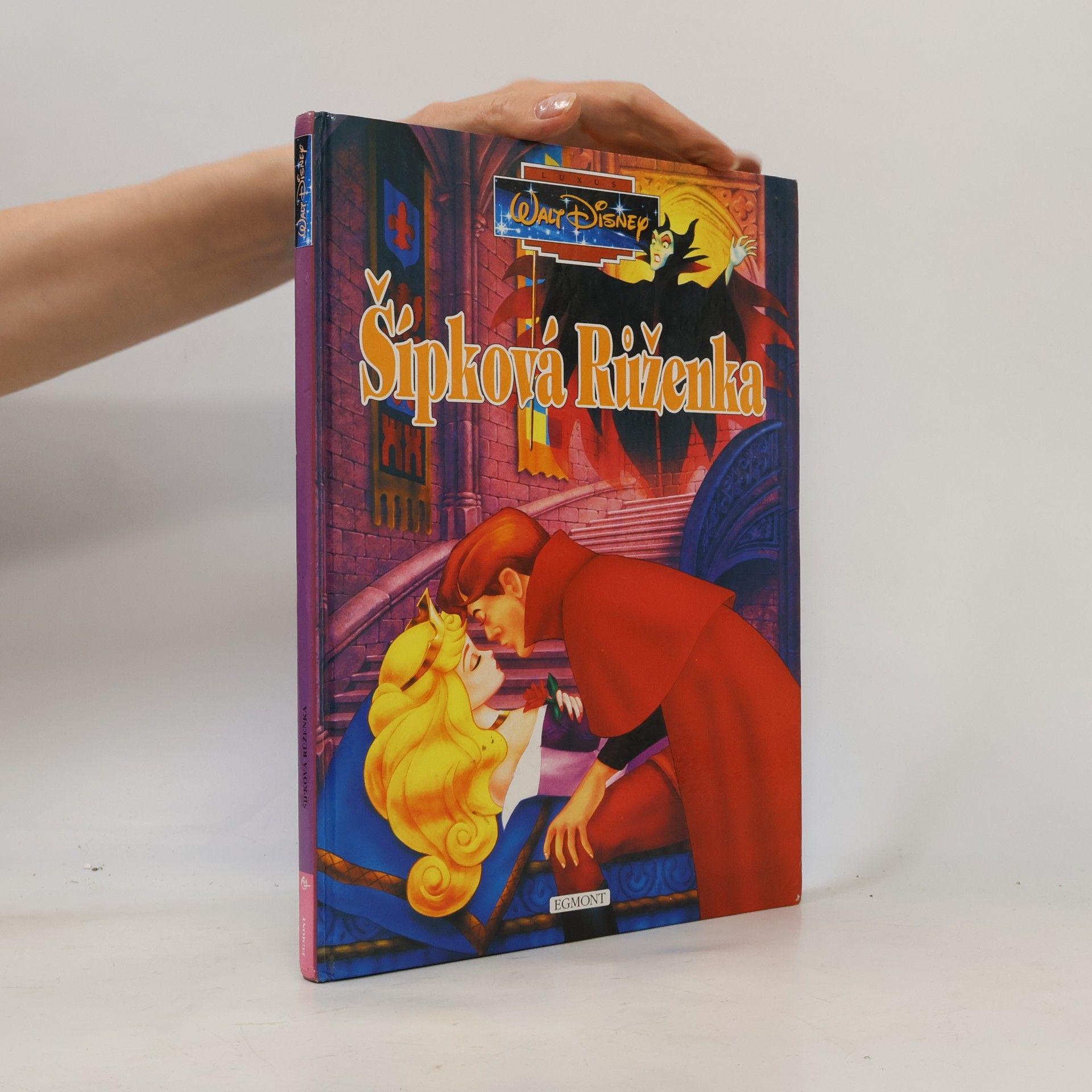 Walt Disney Šípková Růženka