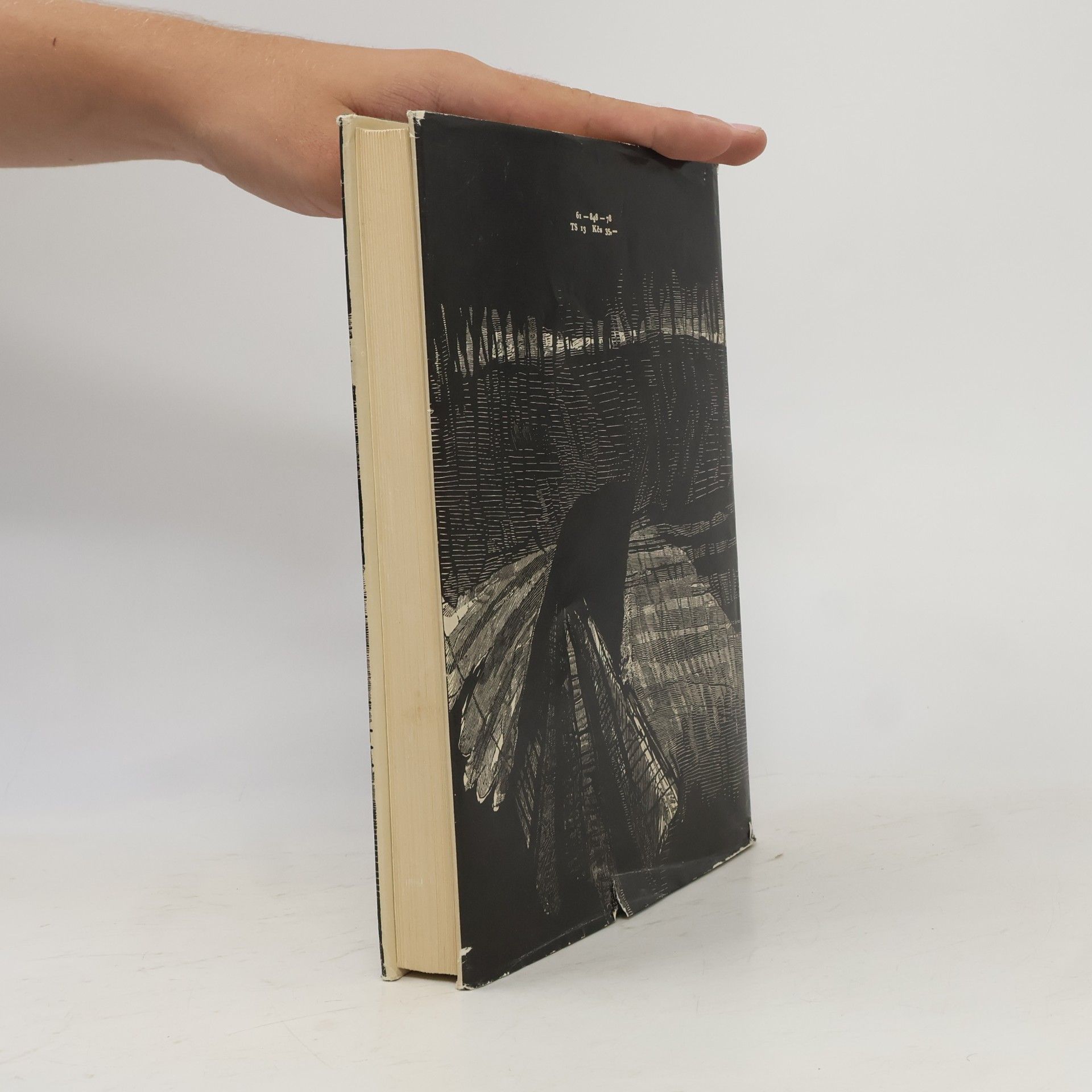 Emily Brontë Búrlivé výšiny