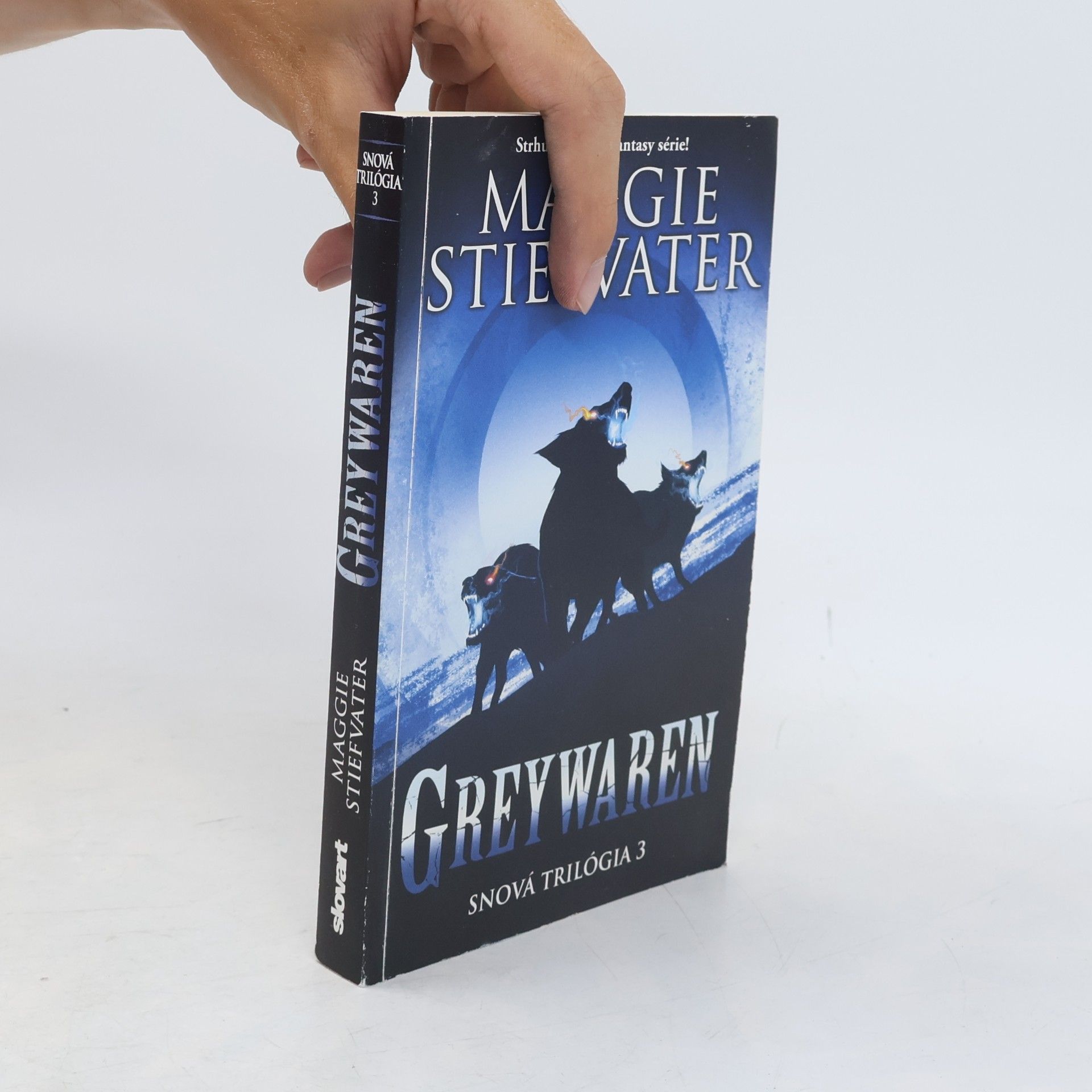 Maggie Stiefvater Greywaren. Snová trilógia 3