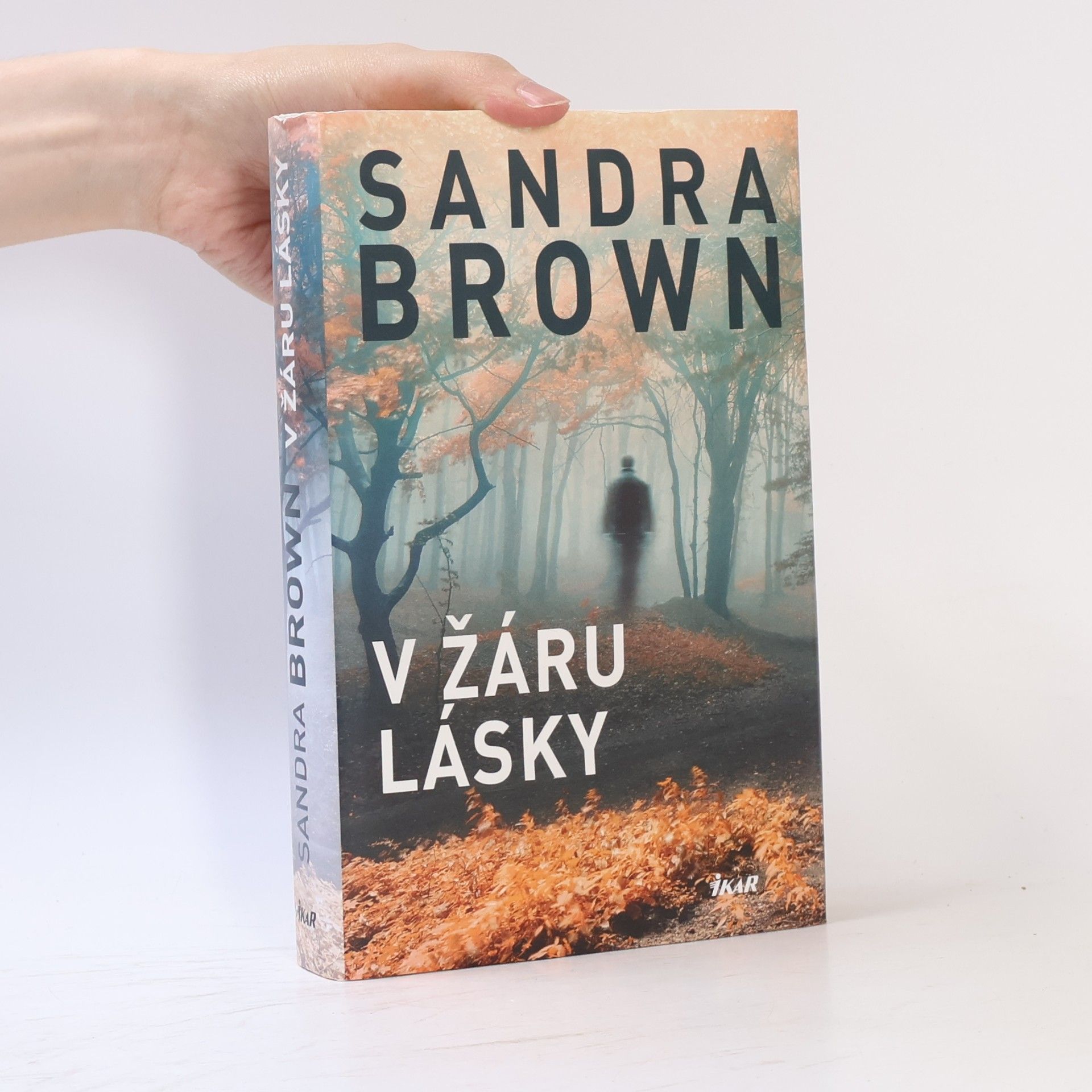Sandra Brown V žáru lásky