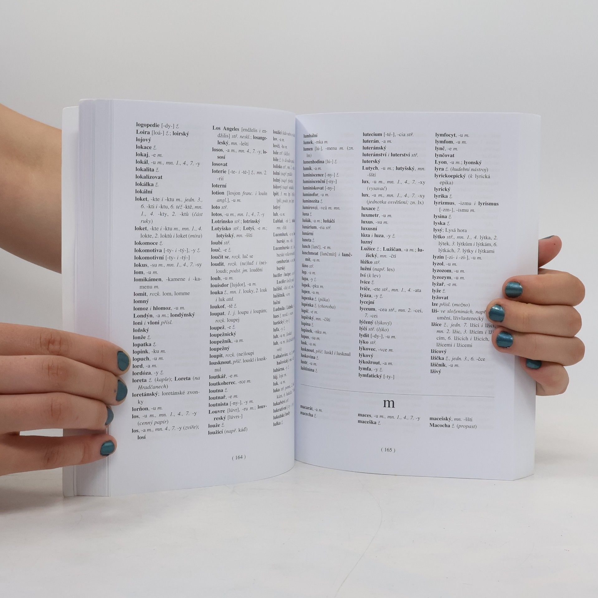 Autorenkollektiv Pravidla českého pravopisu : školní vydání včetně Dodatku