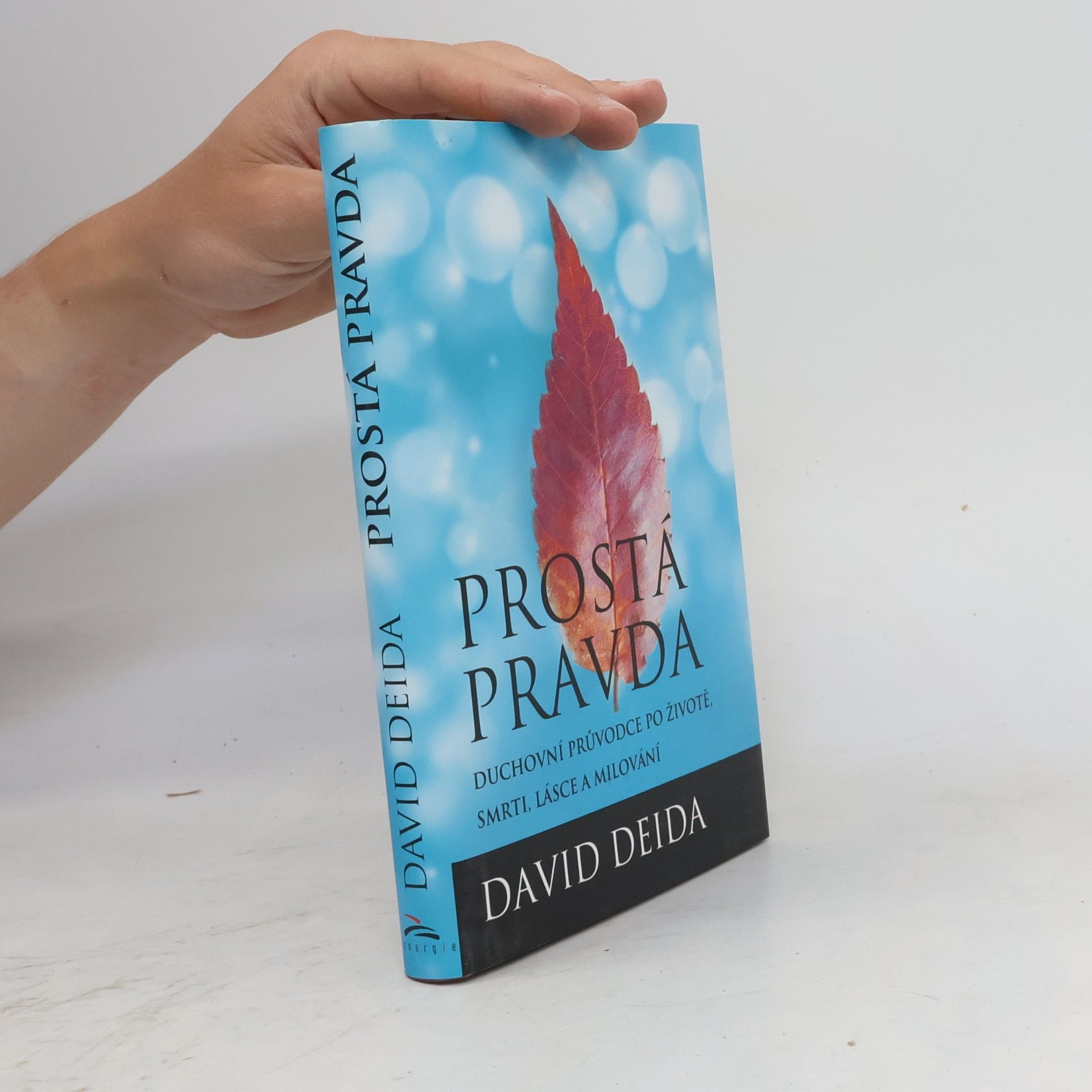 David Deida Prostá pravda