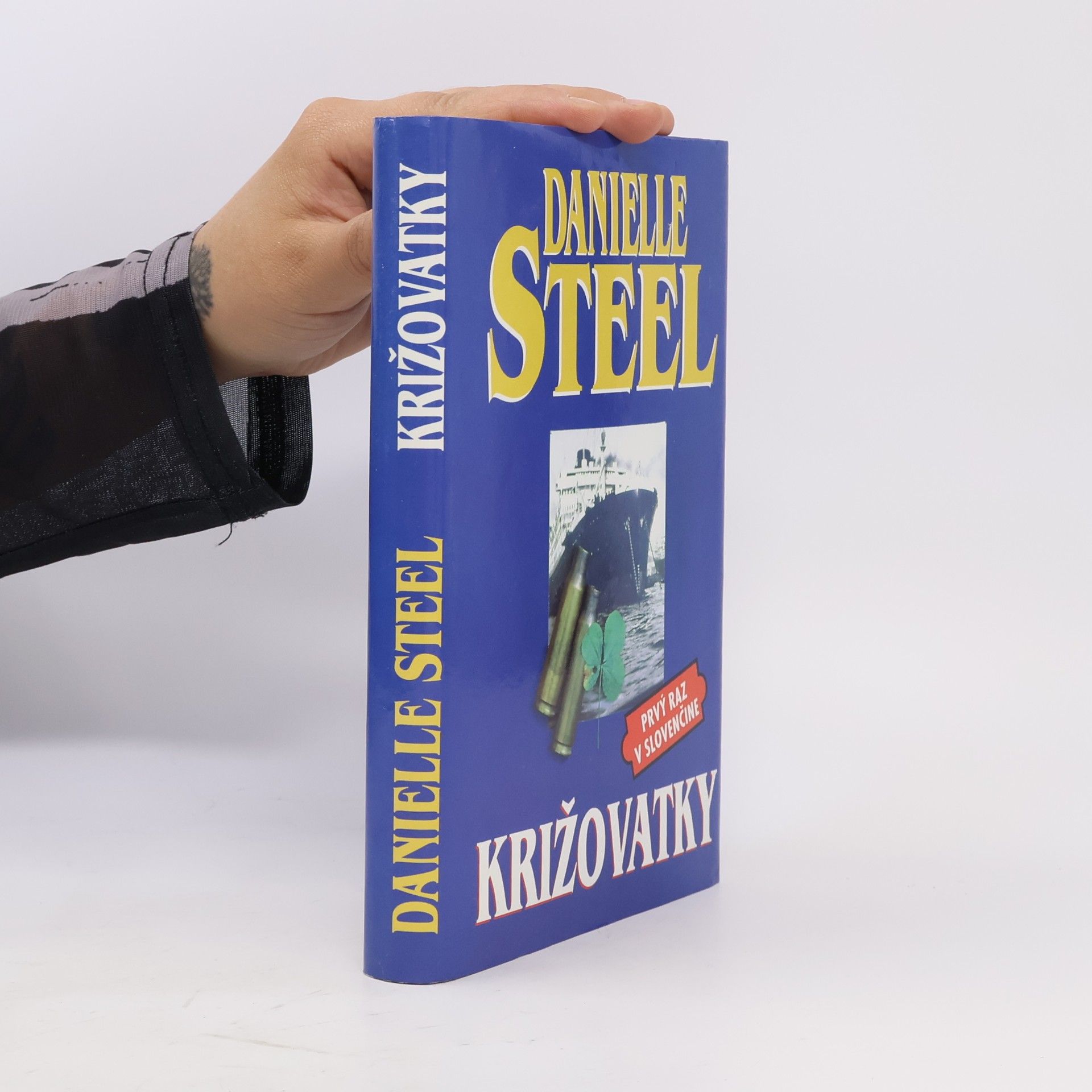 Danielle Steel Križovatky
