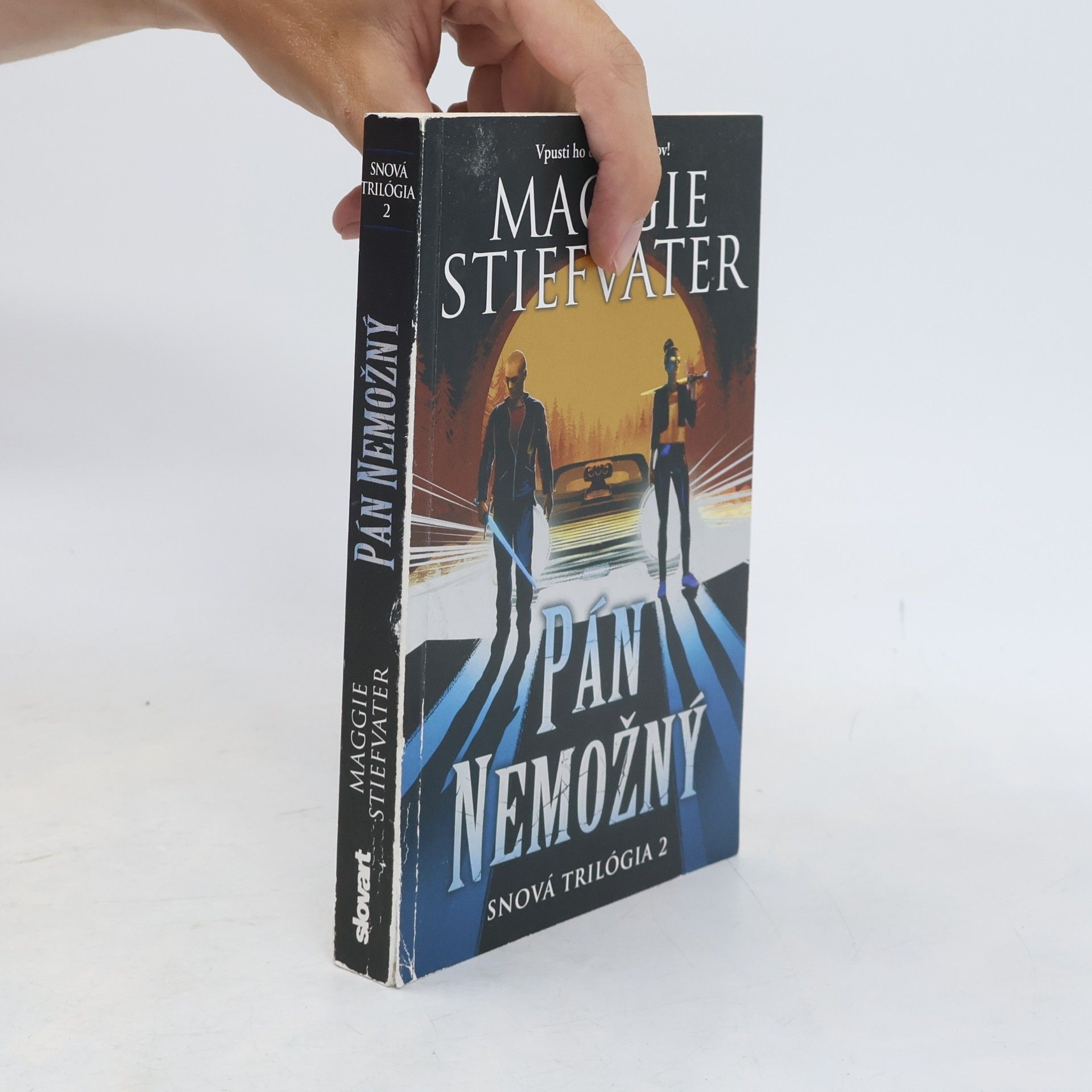 Maggie Stiefvater Pán Nemožný