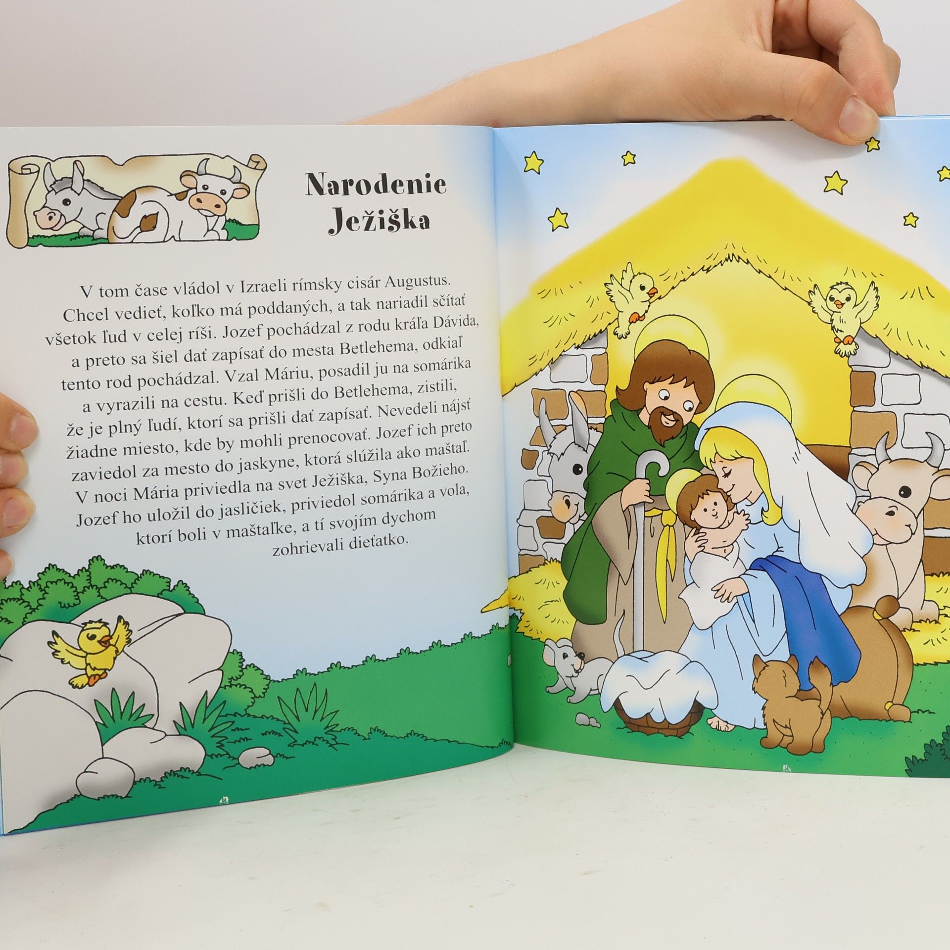 Jana Chrtianska Príbeh Ježiša