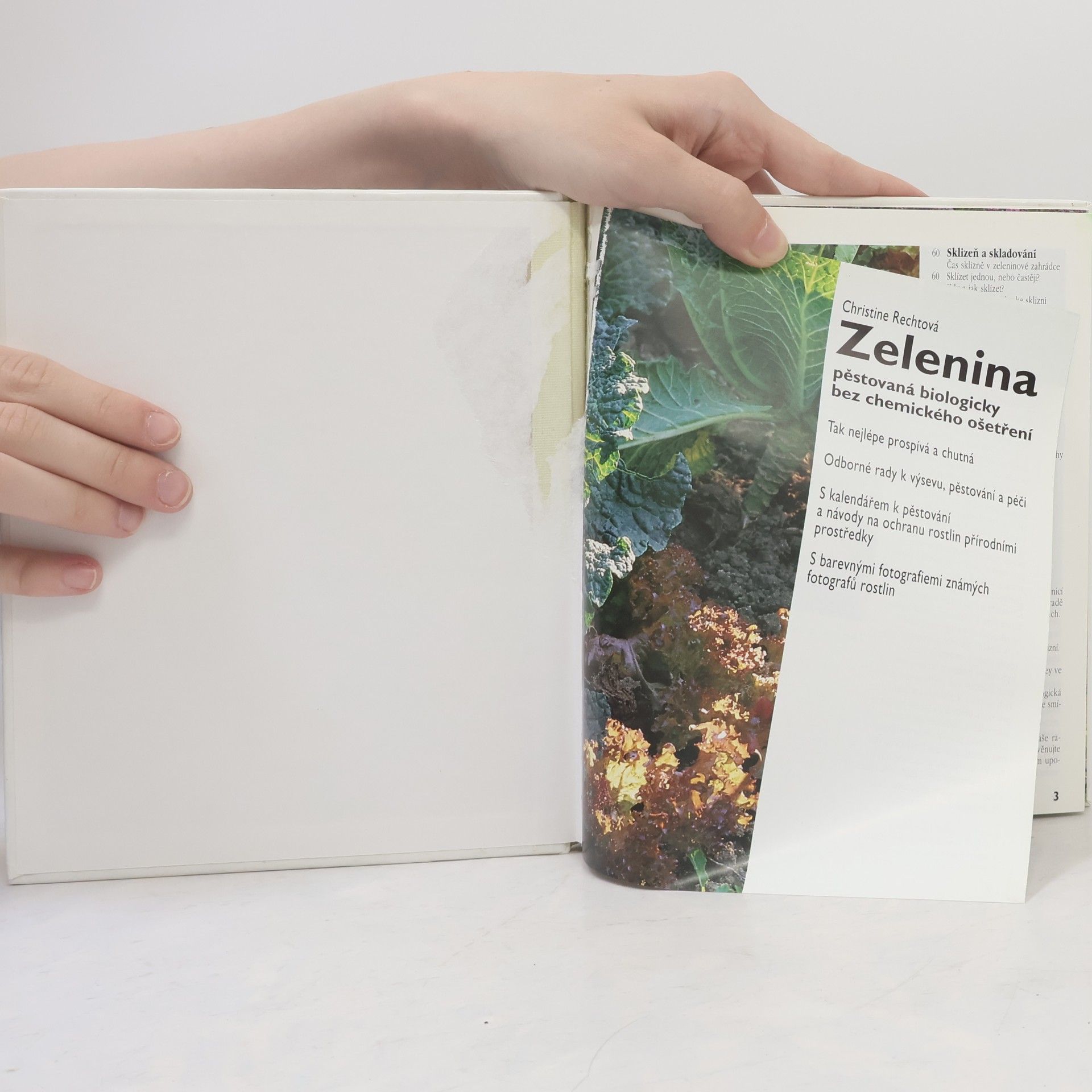 Christine Recht Zelenina pěstovaná biologicky bez chemického ošetření