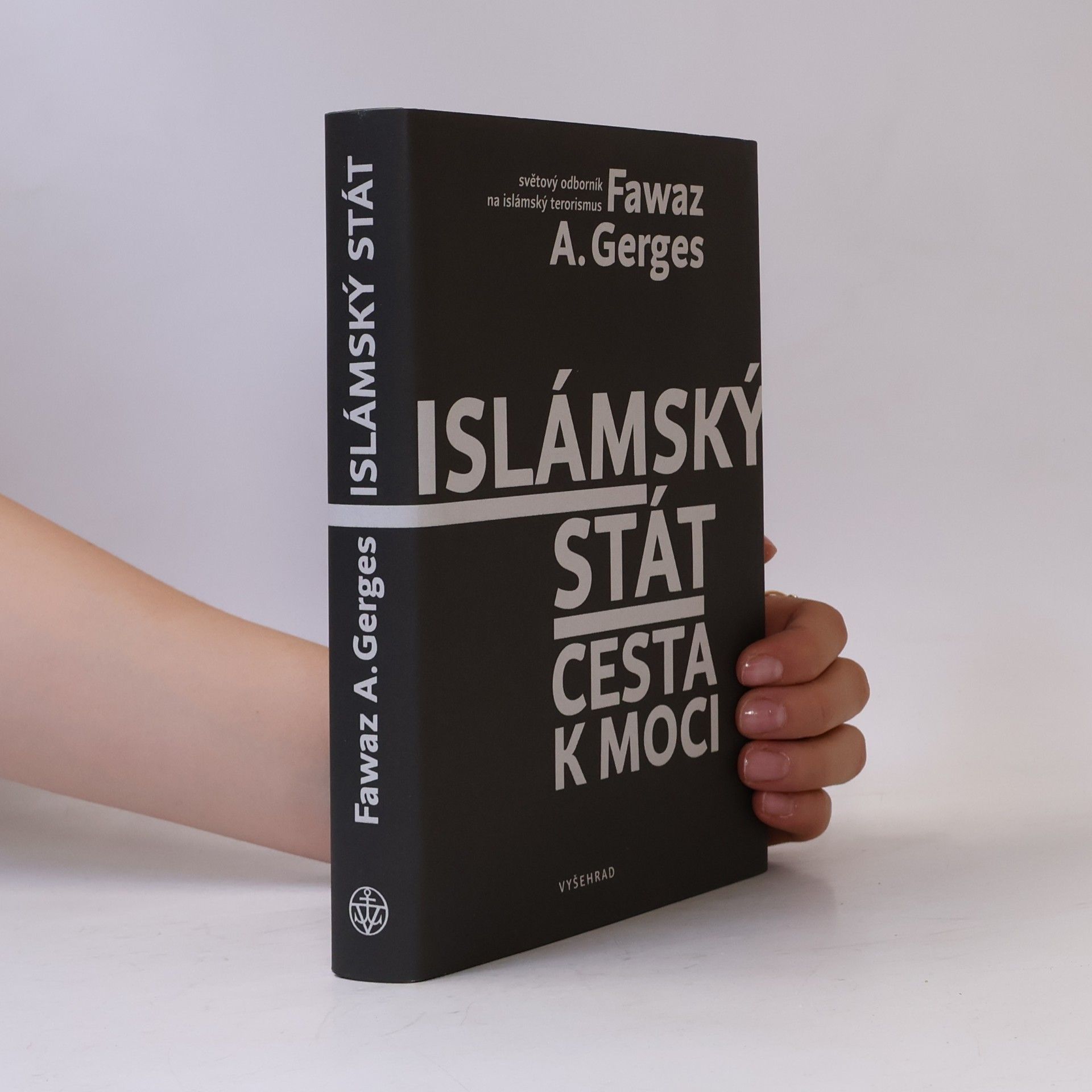 Fawaz Gerges Islámský stát : cesta k moci