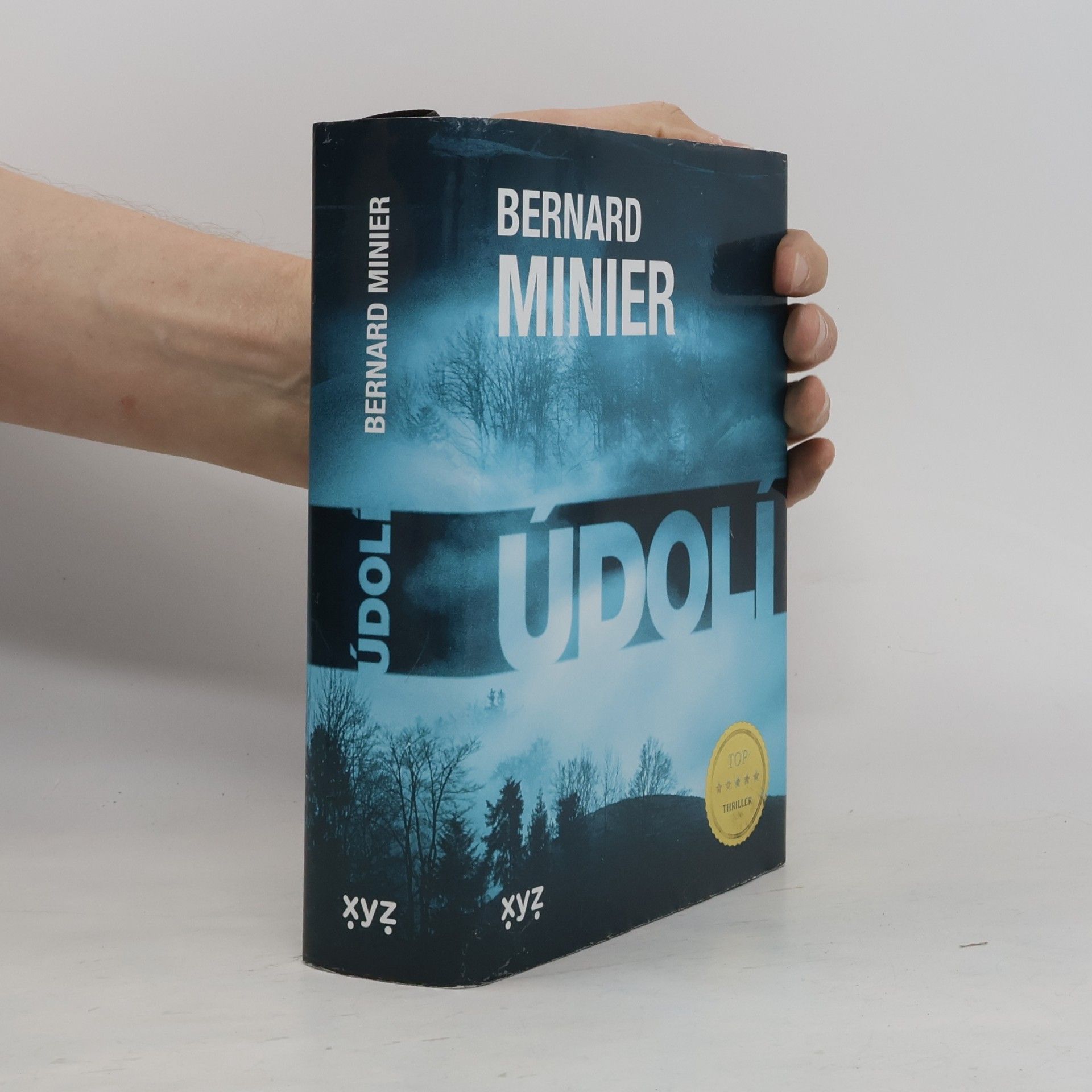 Údolí