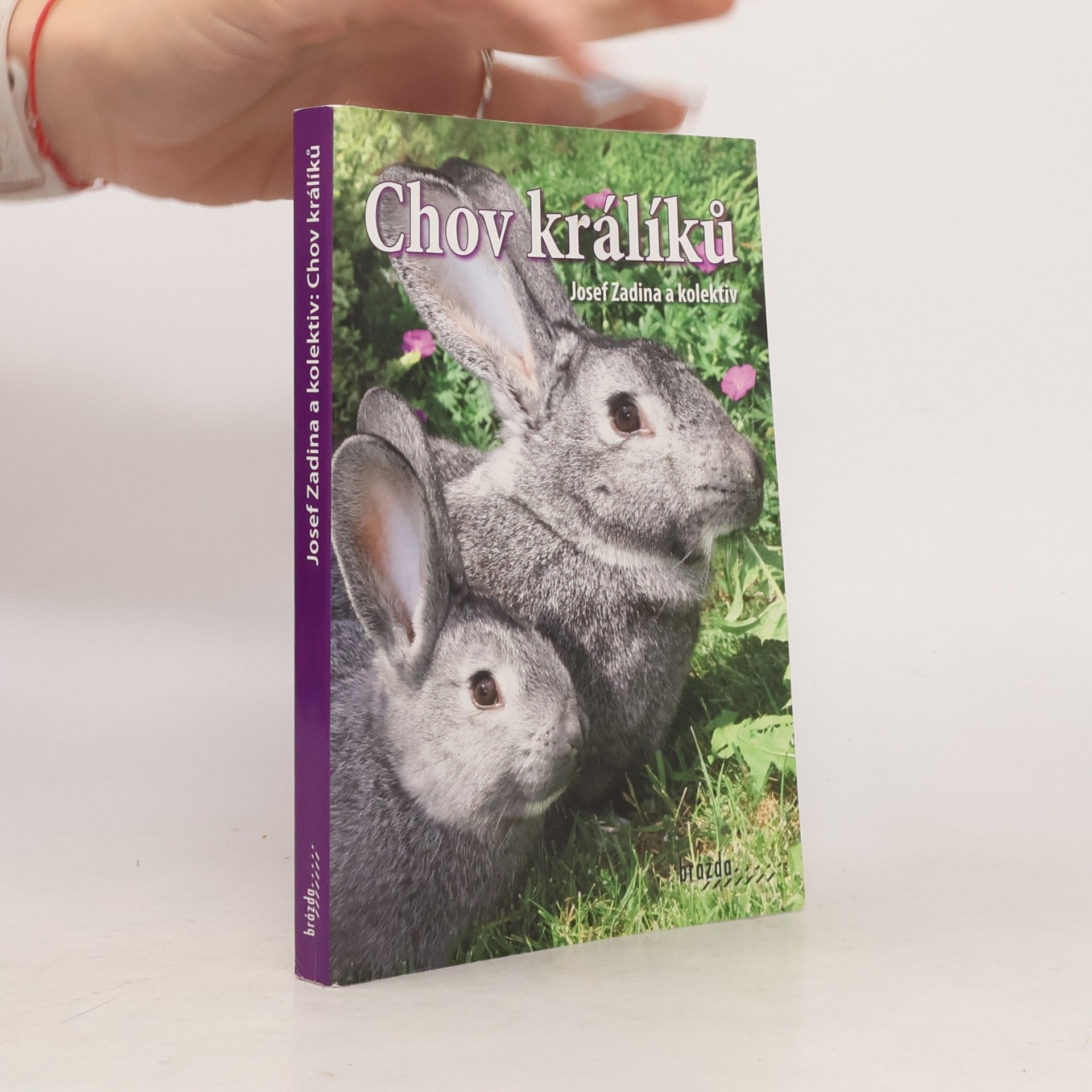 Chov králíků