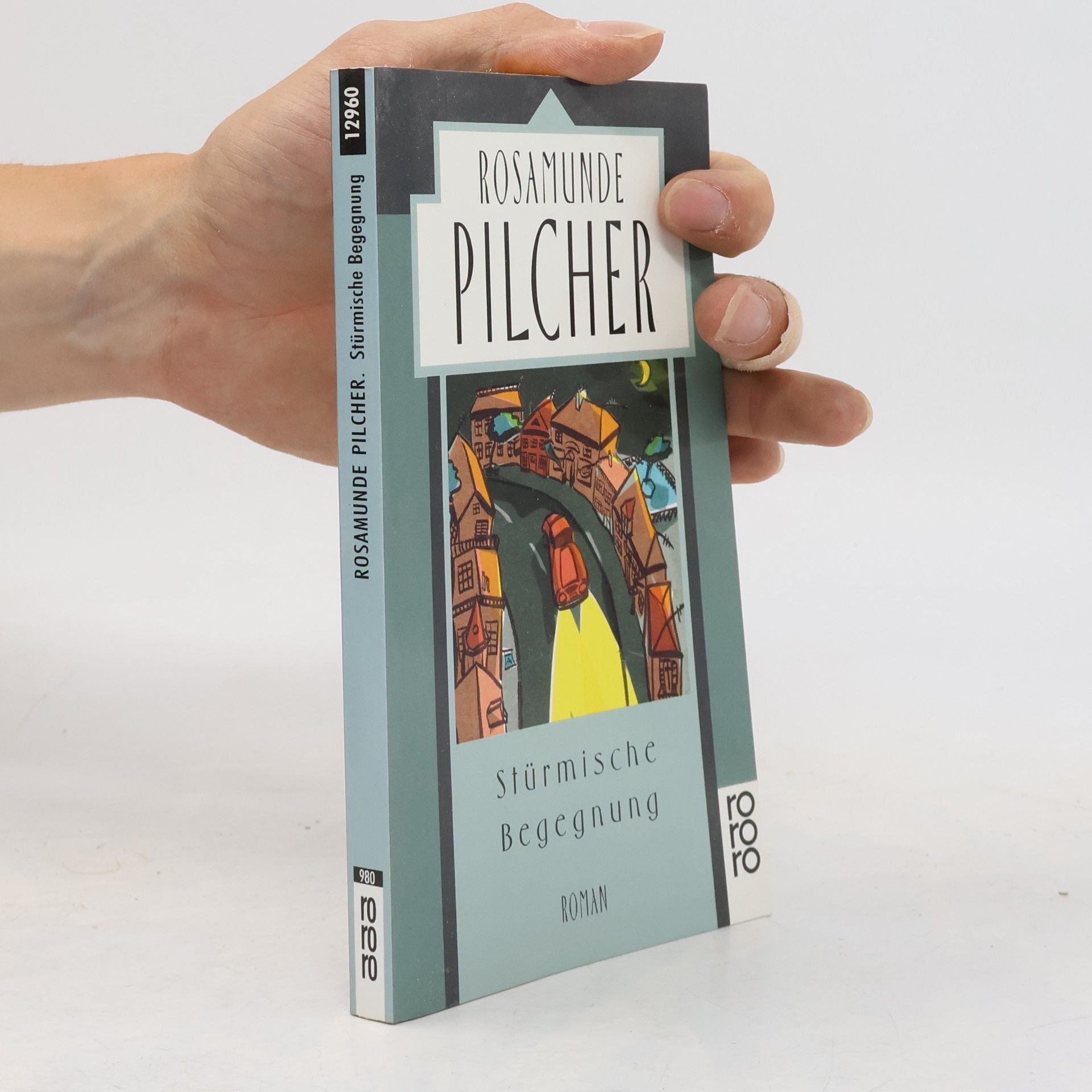 Rosamunde Pilcher Stürmische Begegnung