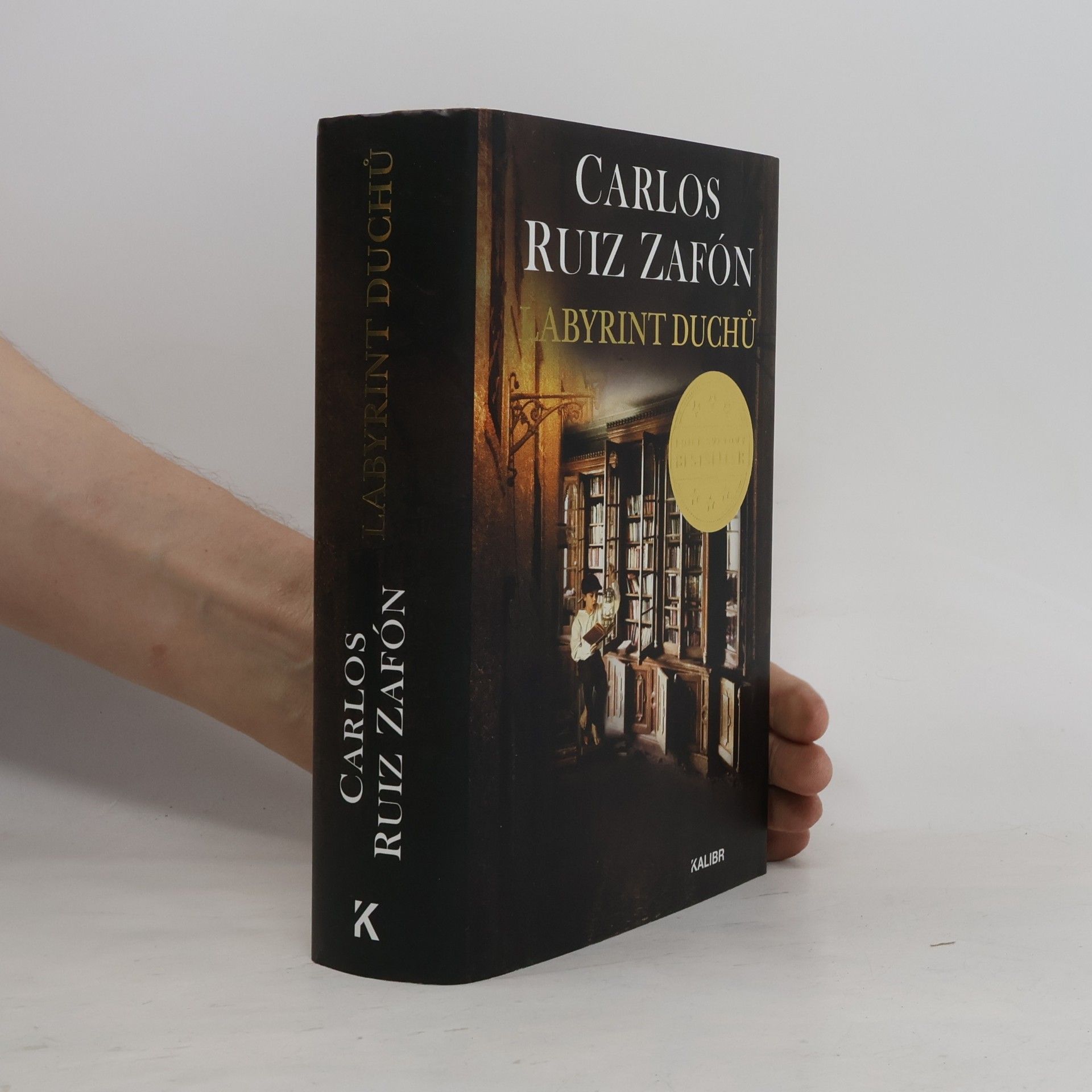 Carlos Ruiz Safon Labyrint duchů