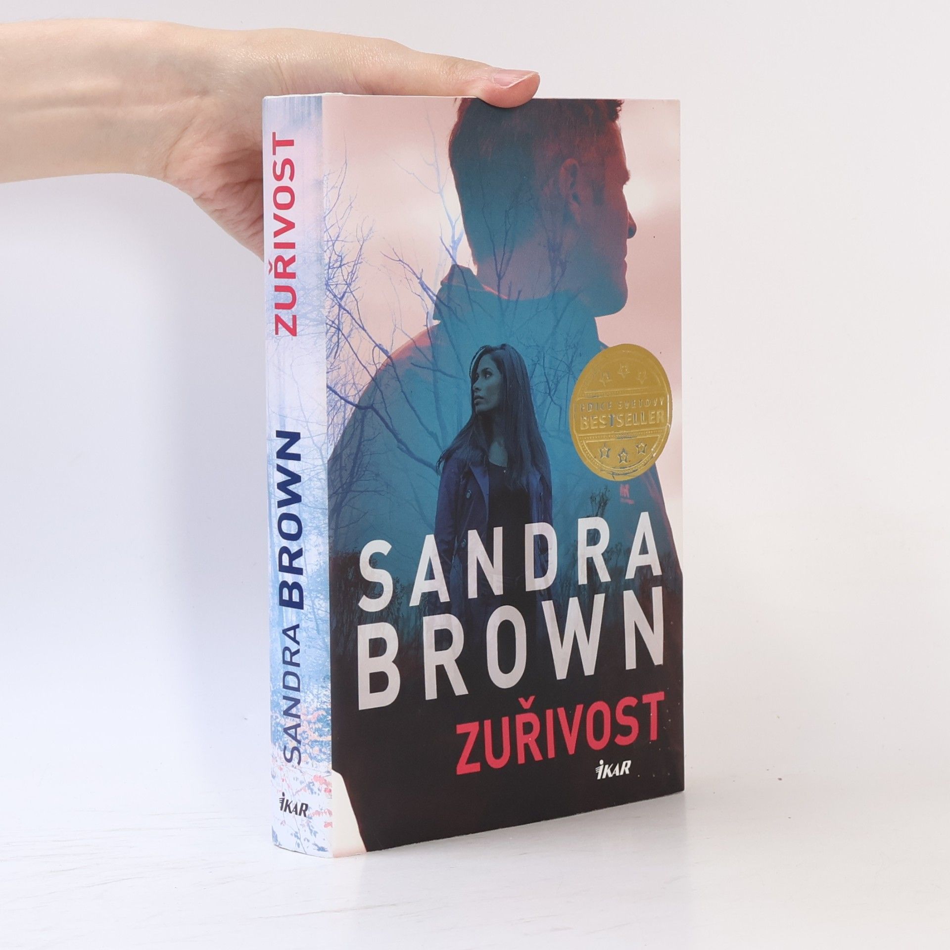 Sandra Brown Zuřivost