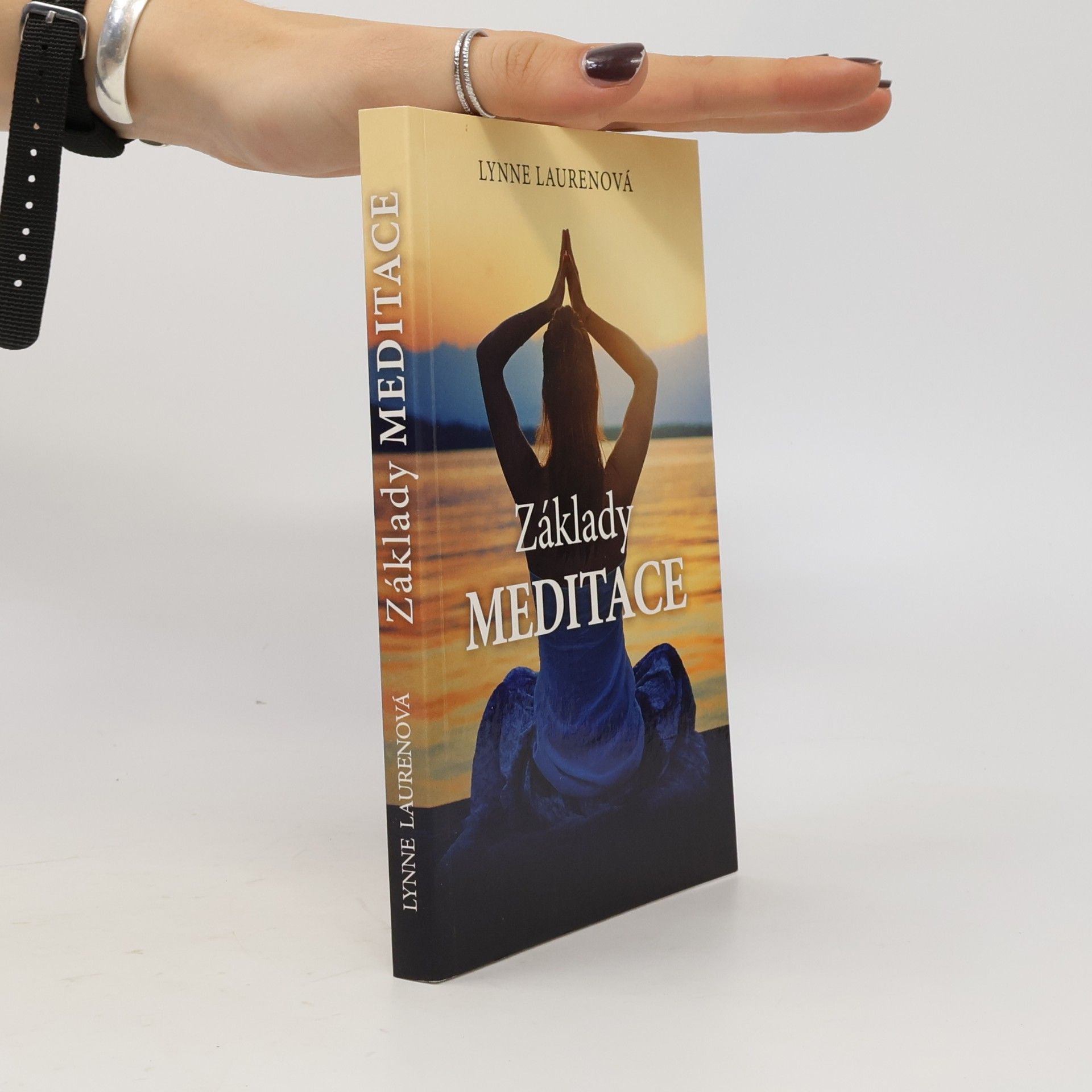 Lynne Lauren Základy meditace