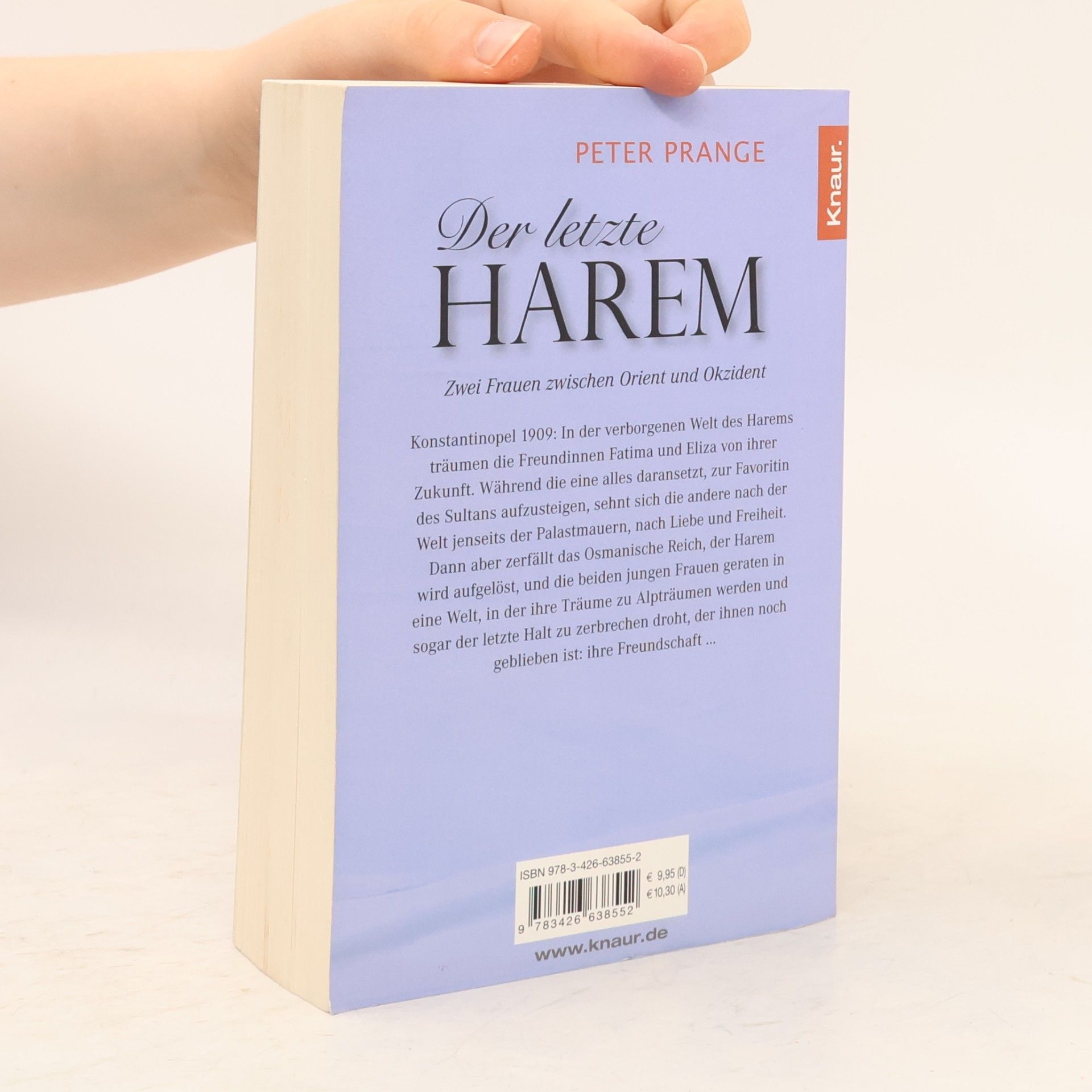 Peter Prange Der letzte Harem