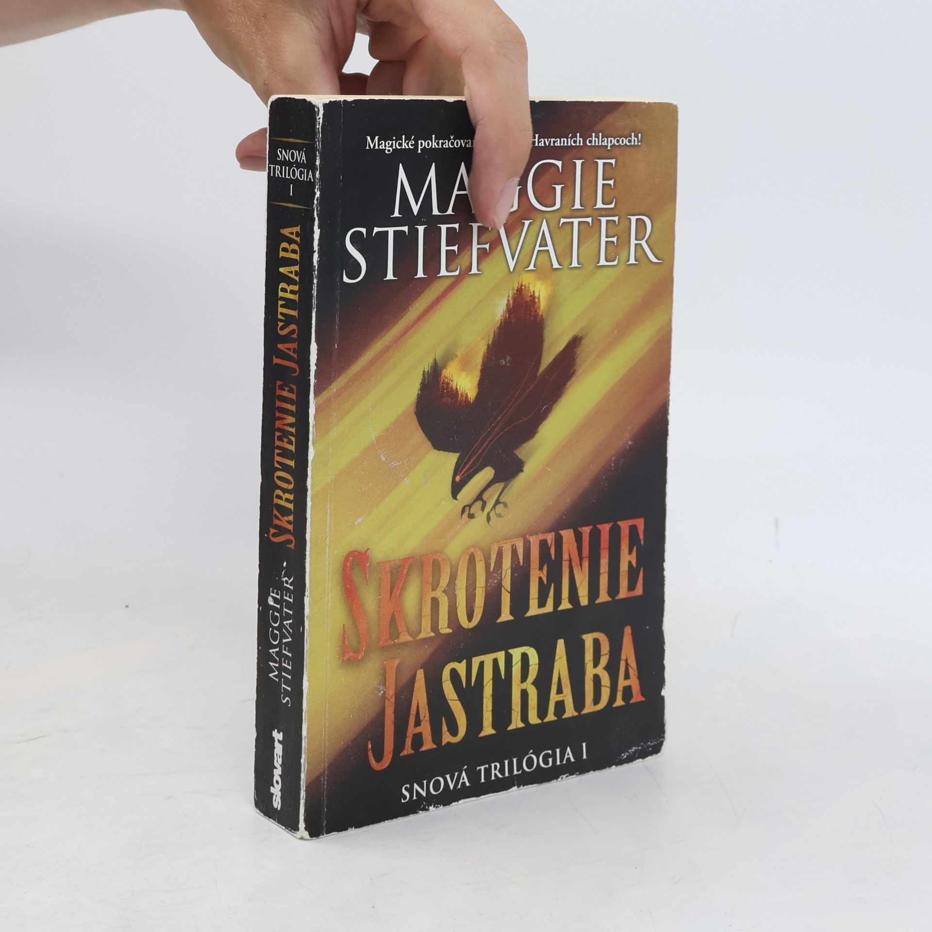 Maggie Stiefvater Skrotenie jastraba