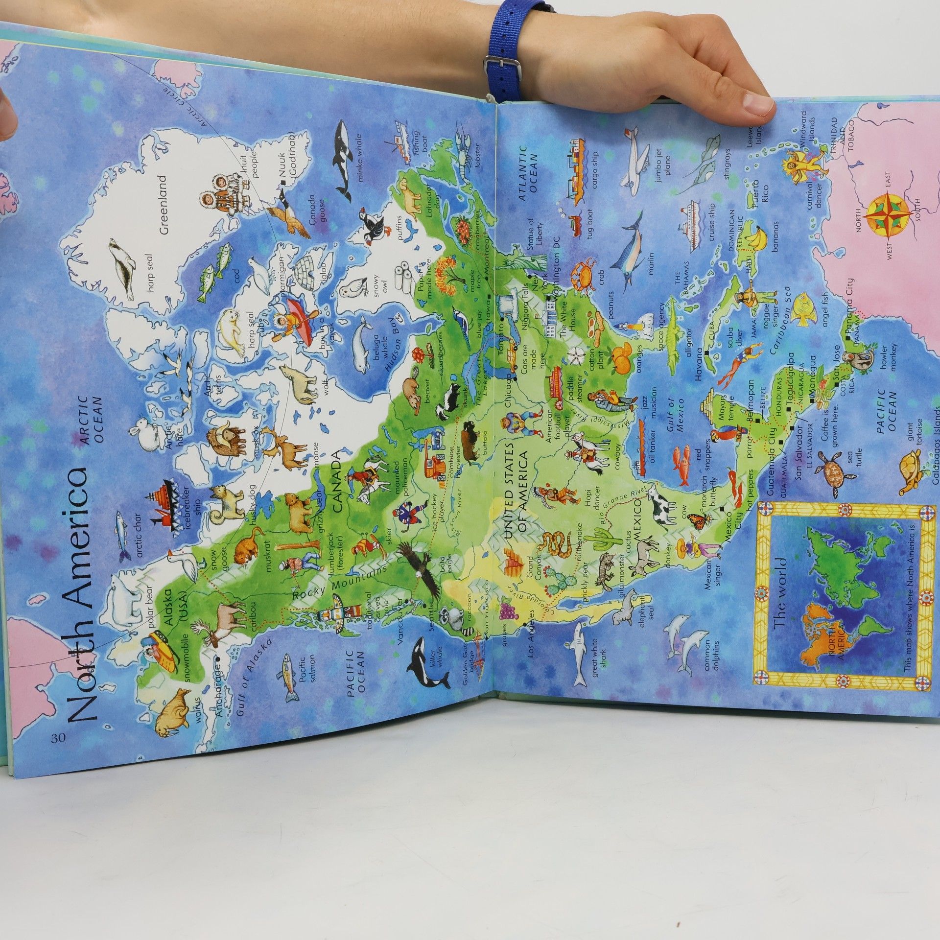 Linda Edwards Children's Picture Atlas