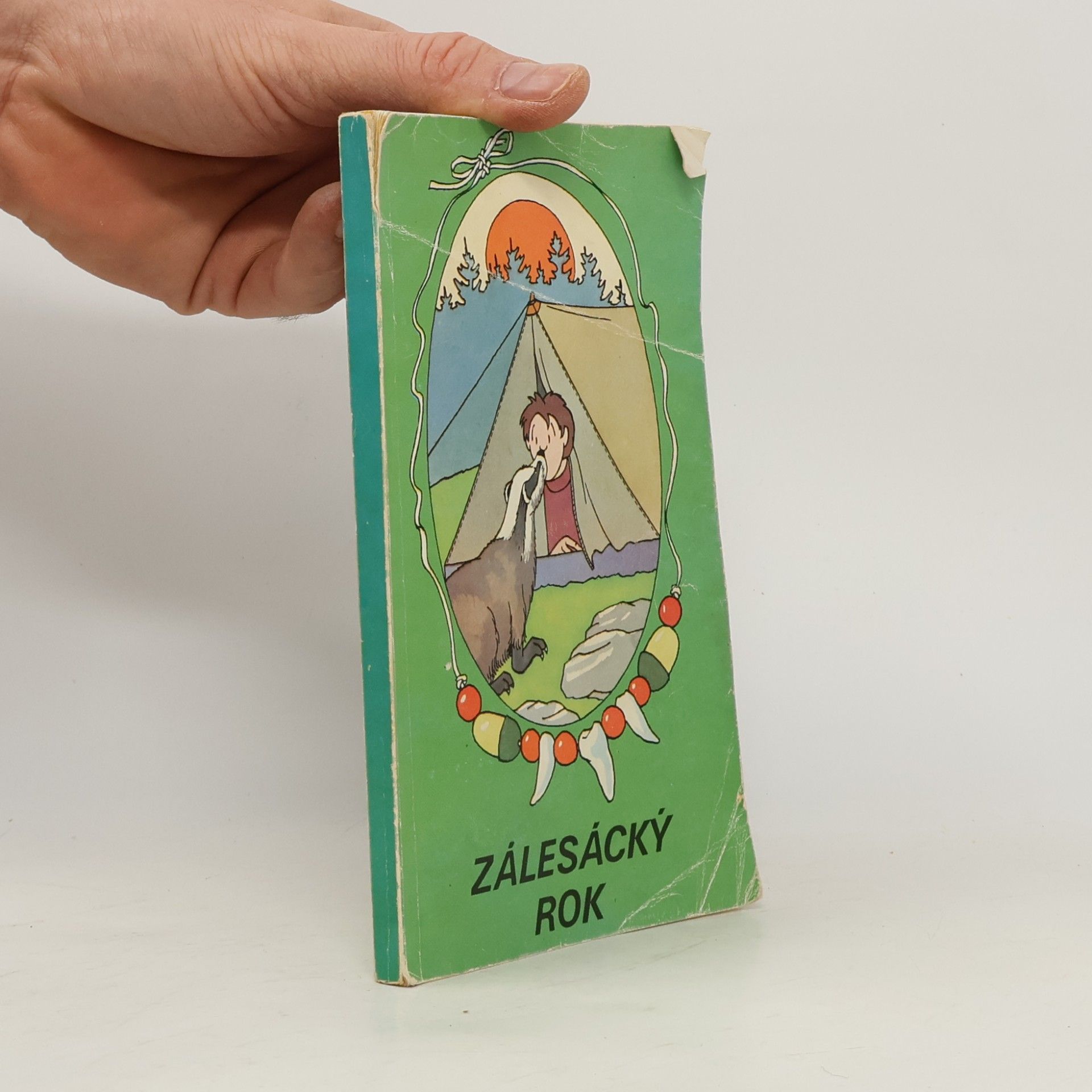 Collectif d'auteurs Zálesácký rok