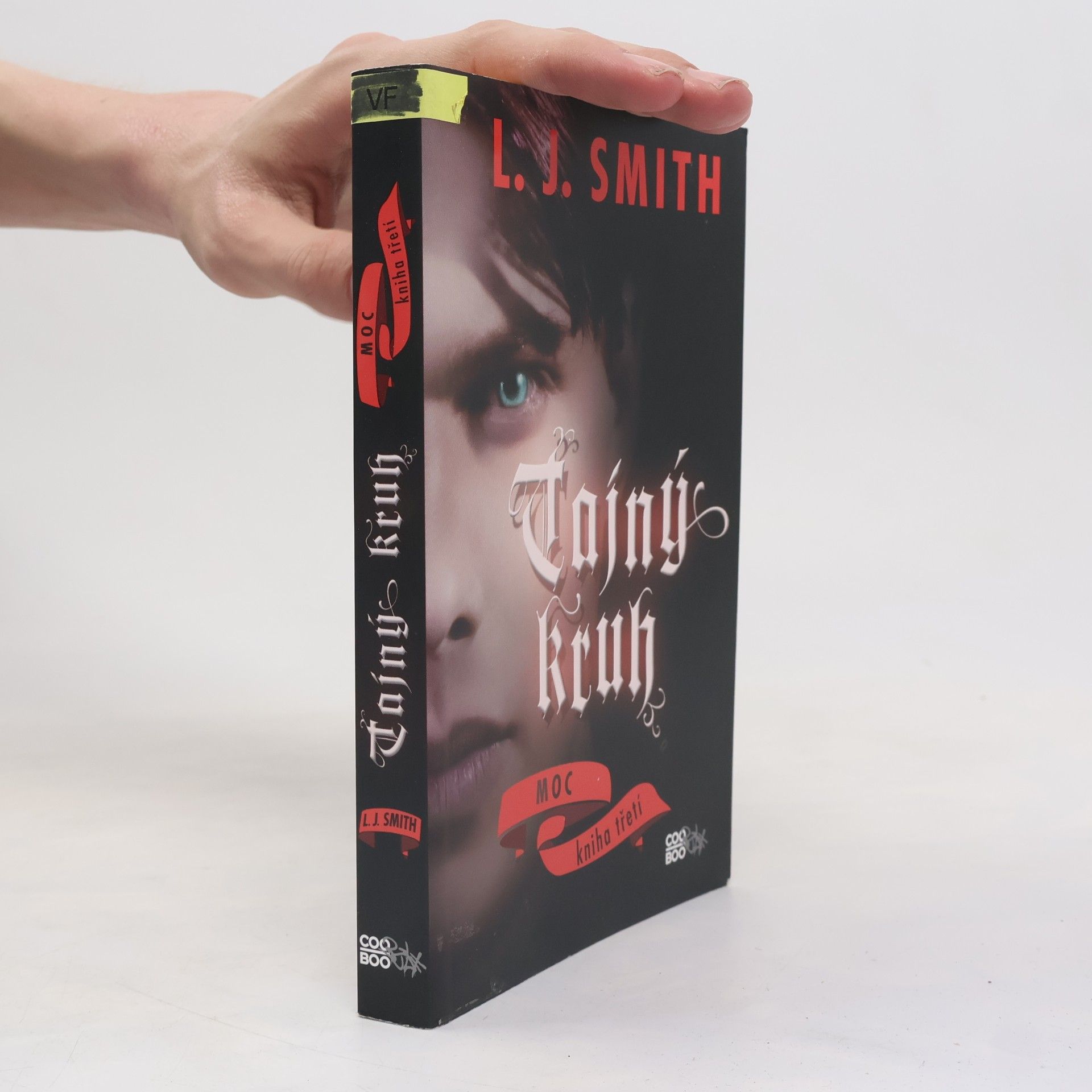 L. J. Smith Tajný kruh. Moc