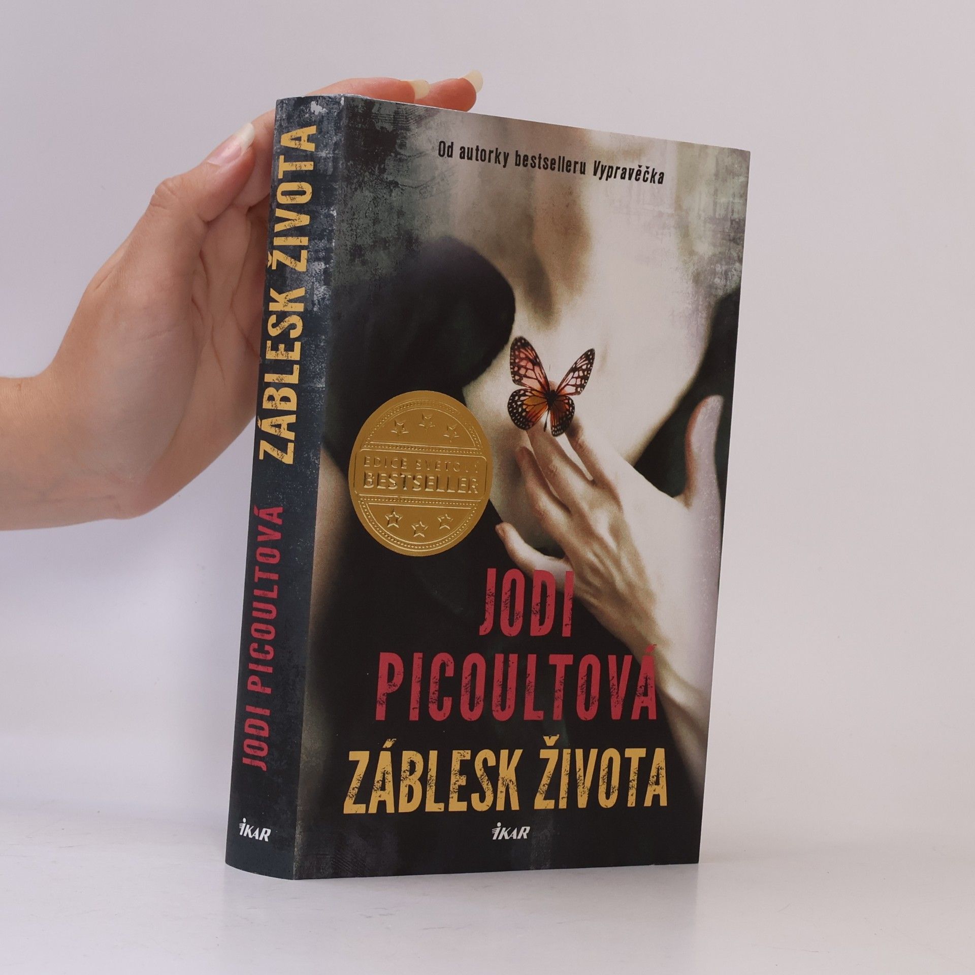 Jodi Picoult Záblesk života