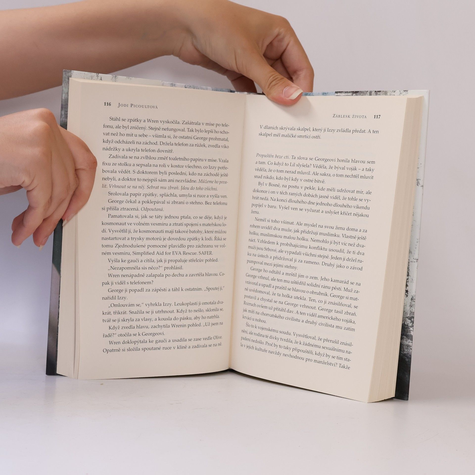 Jodi Picoult Záblesk života
