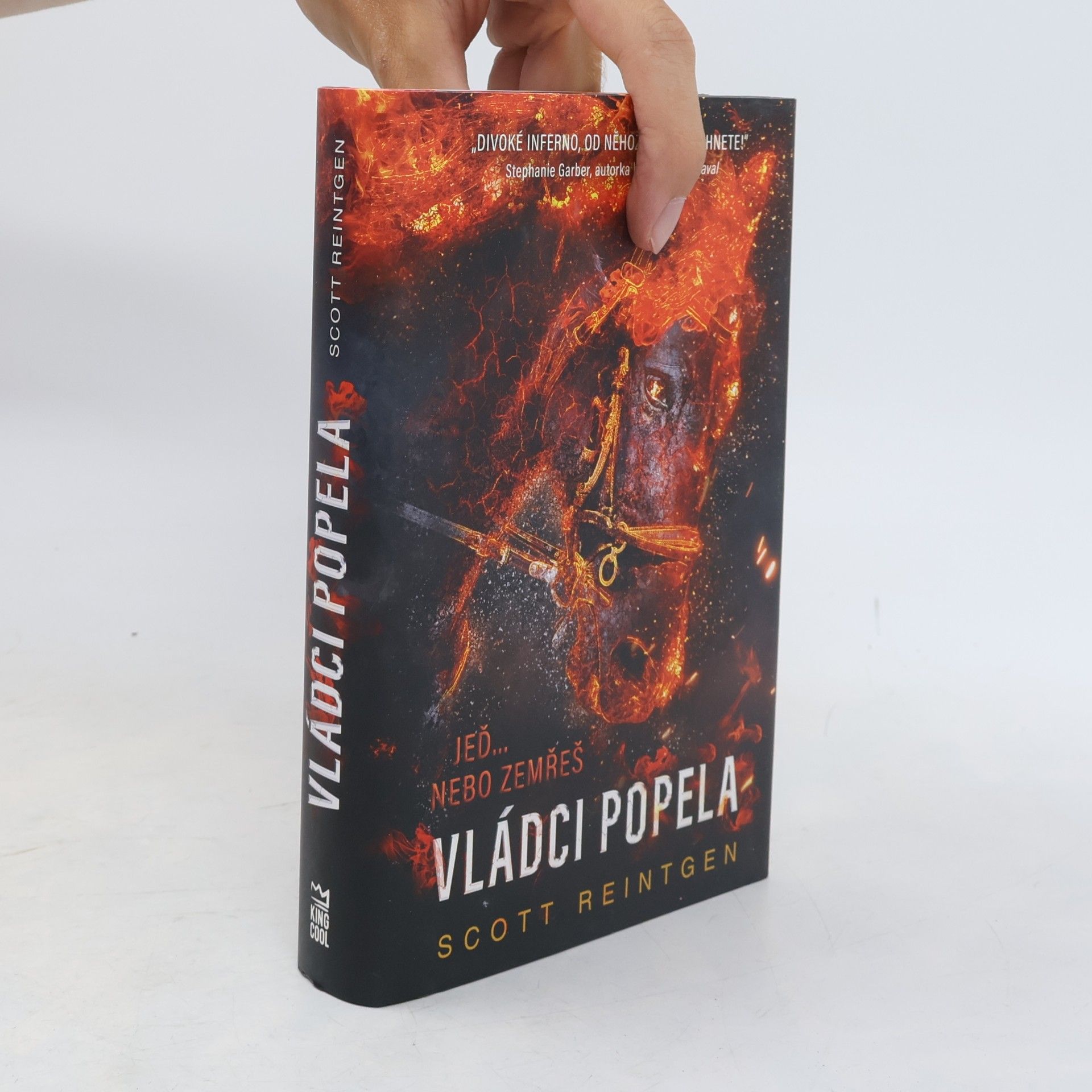 Scott Reintgen Vládci popela