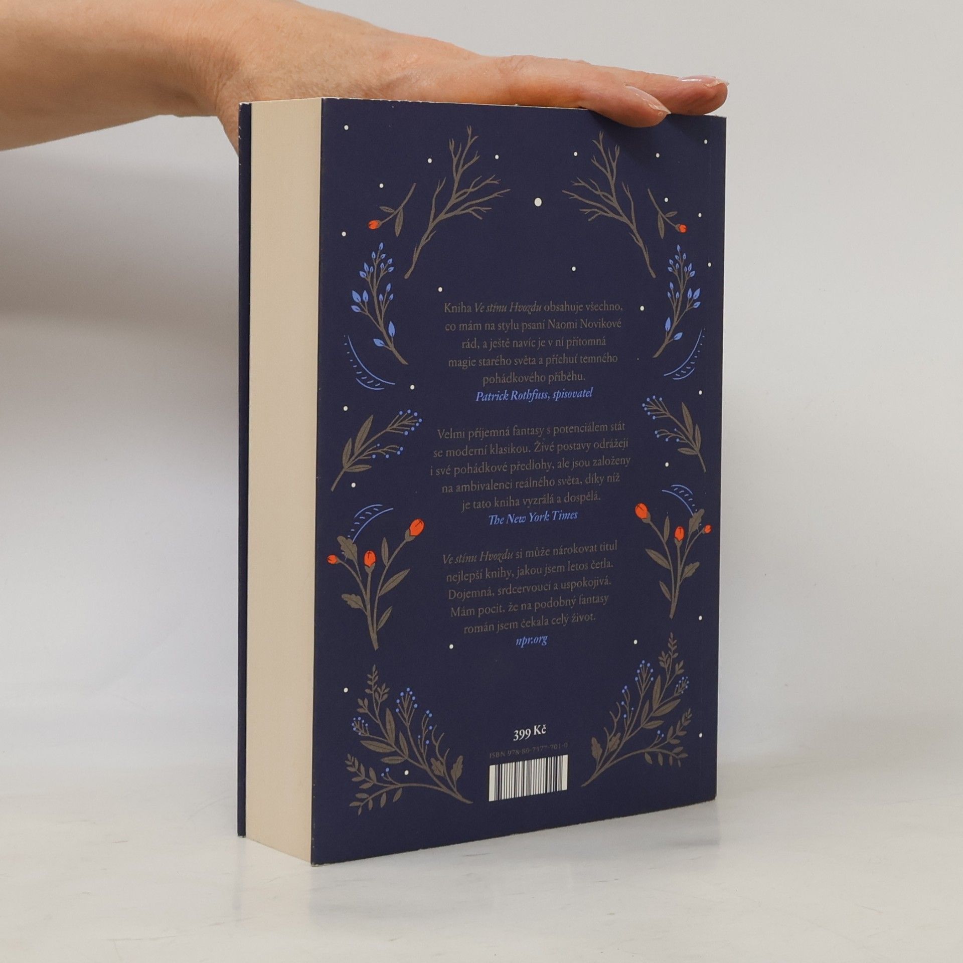 Naomi Novik Ve stínu Hvozdu