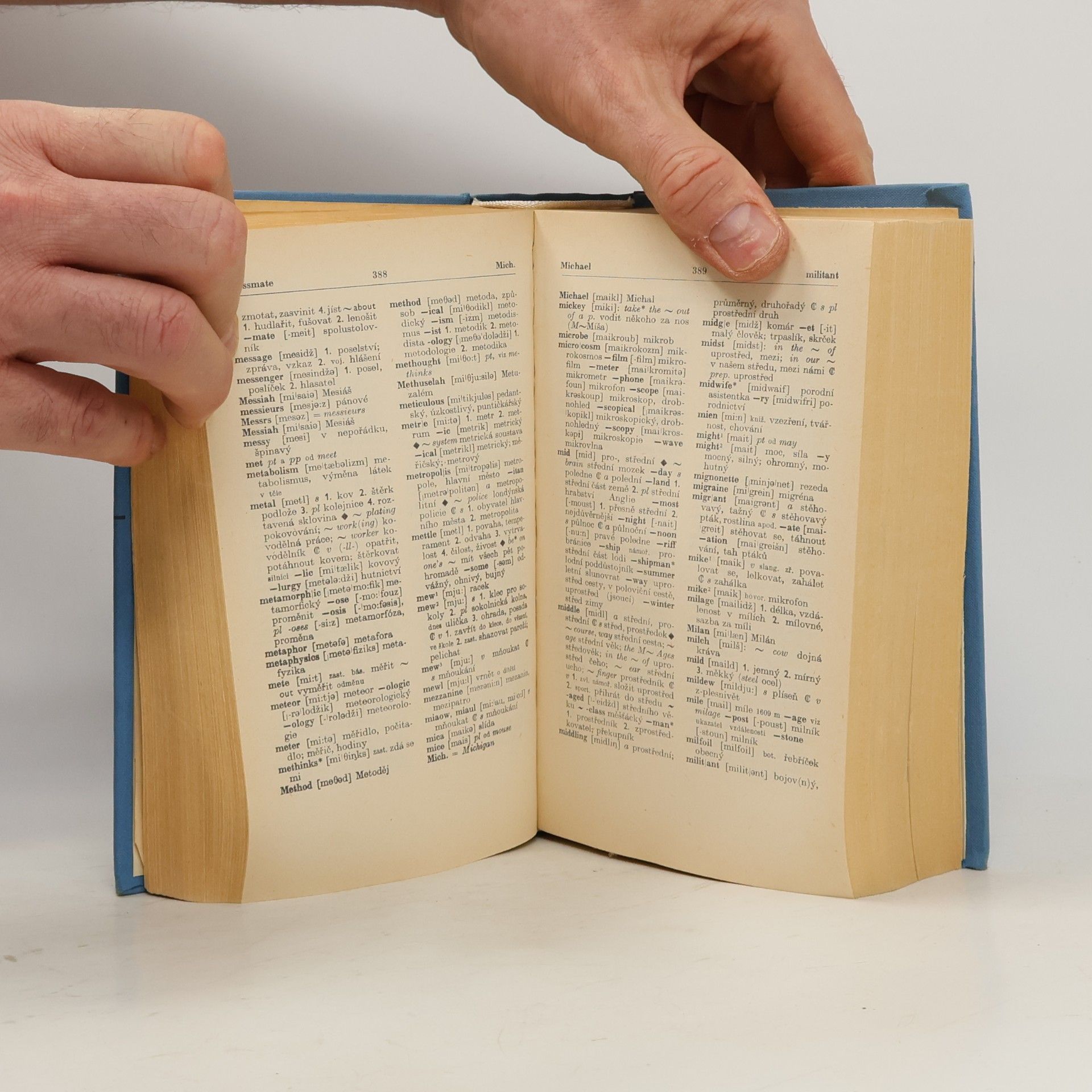 Autorenkollektiv Anglicko-český a česko-anglický slovník