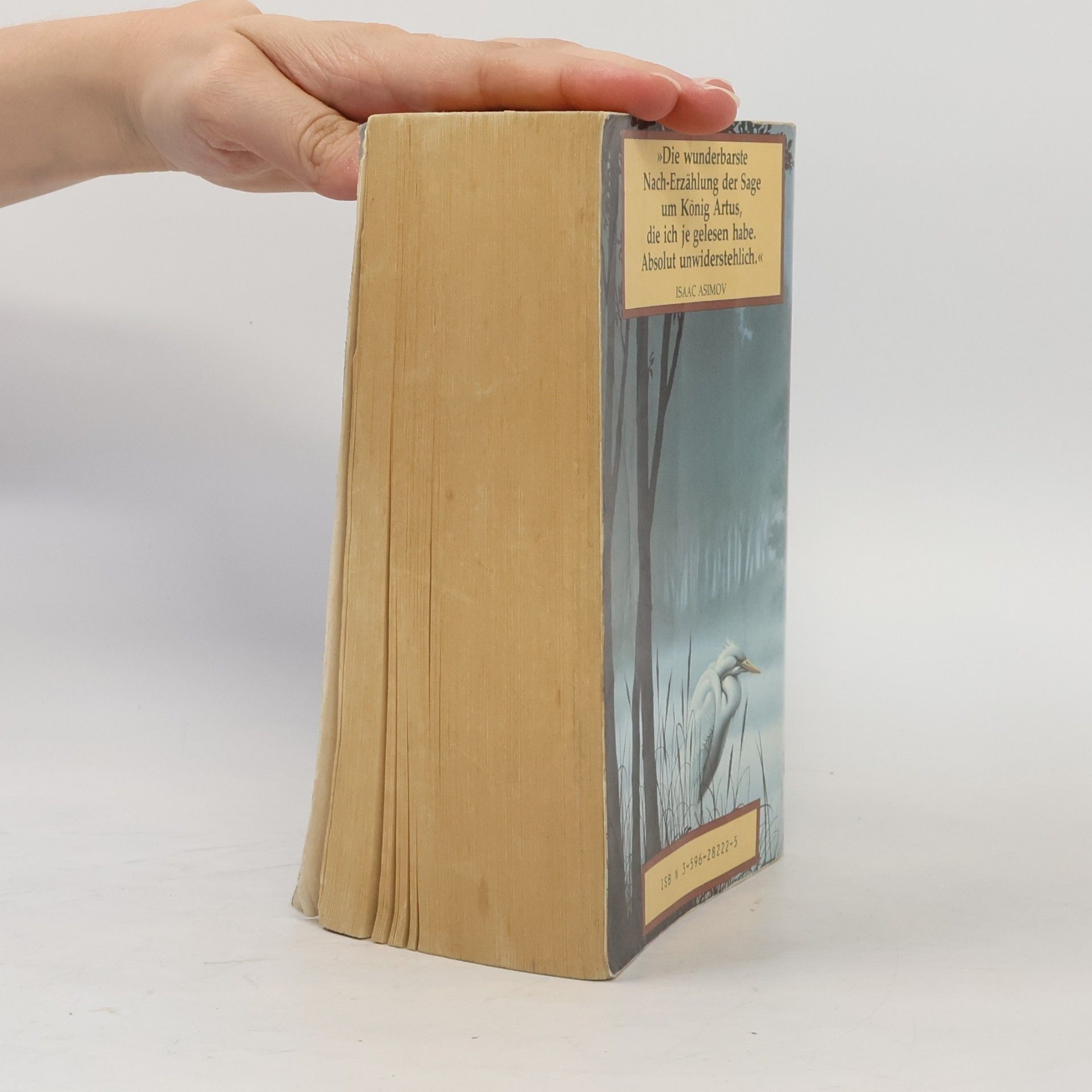 Marion Zimmer Bradley Die Nebel von Avalon