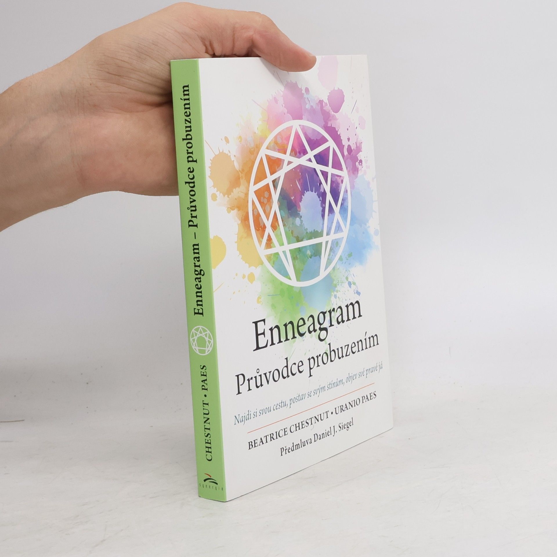 Beatrice Chestnut Enneagram : průvodce probuzením : najdi si svou cestu, postav se svým stínům, objev své pravé já
