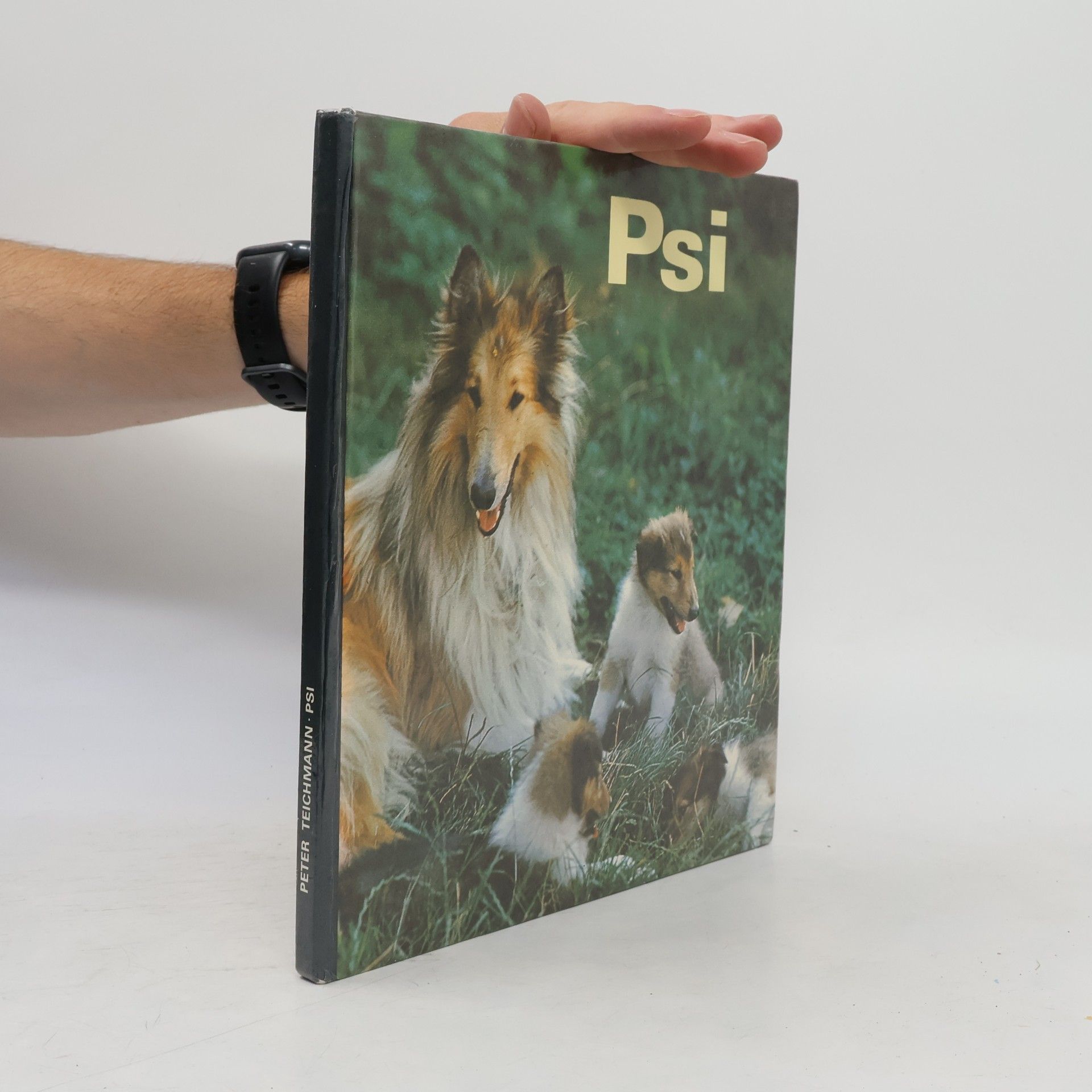 Peter Teichmann Psi
