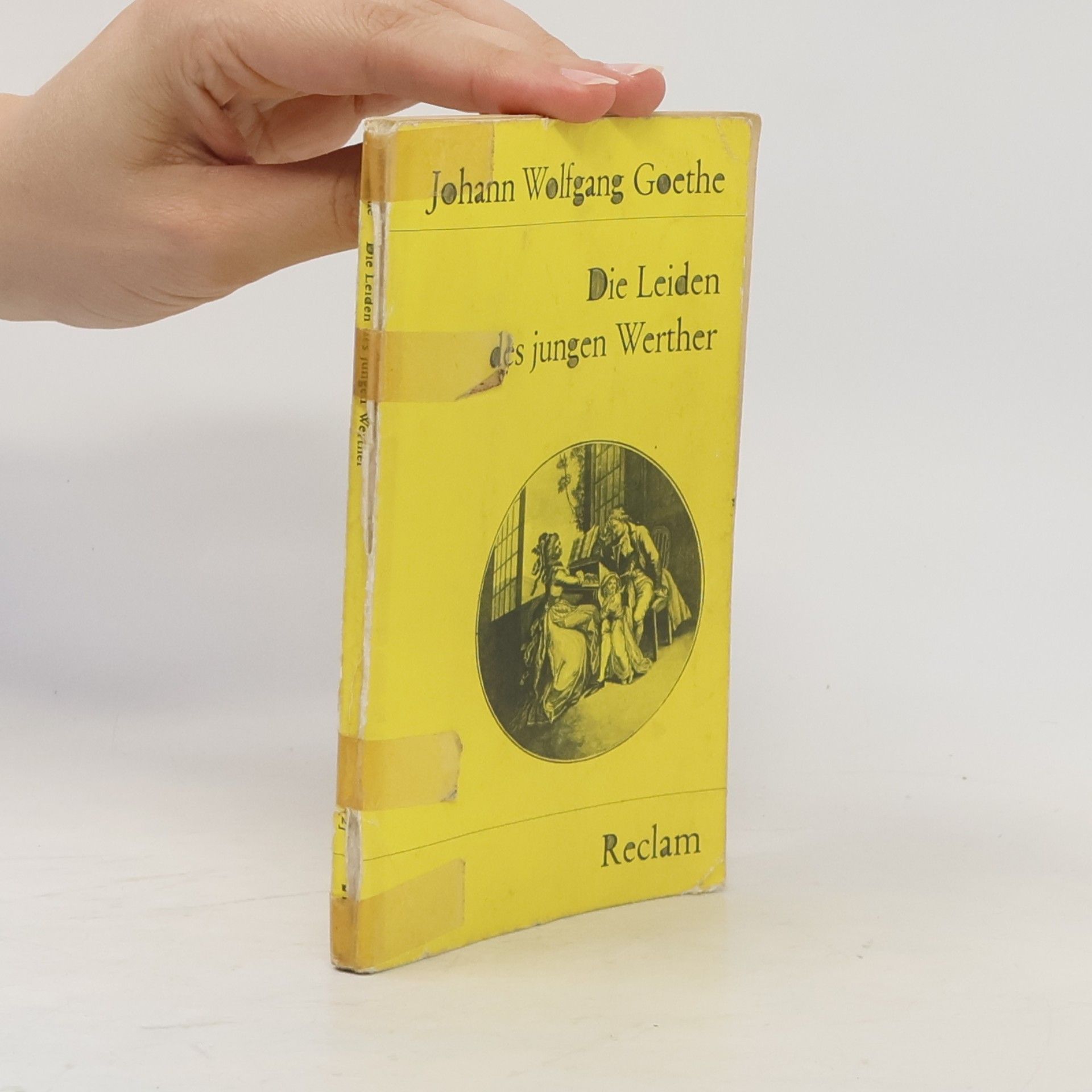 Johann Wolfgang von Goethe Die Leiden des jungen Werther