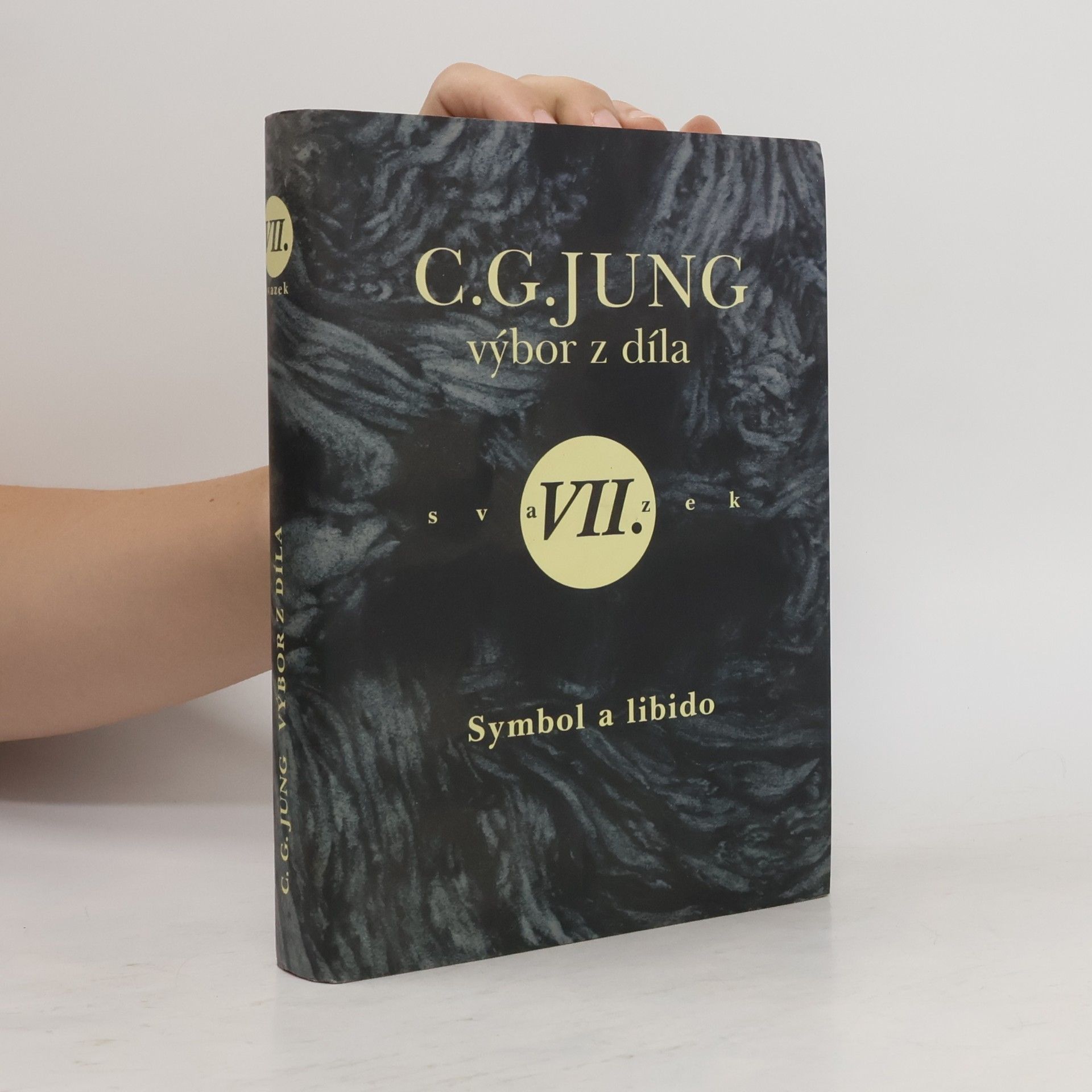 Carl Gustav Jung Výbor z díla VII.