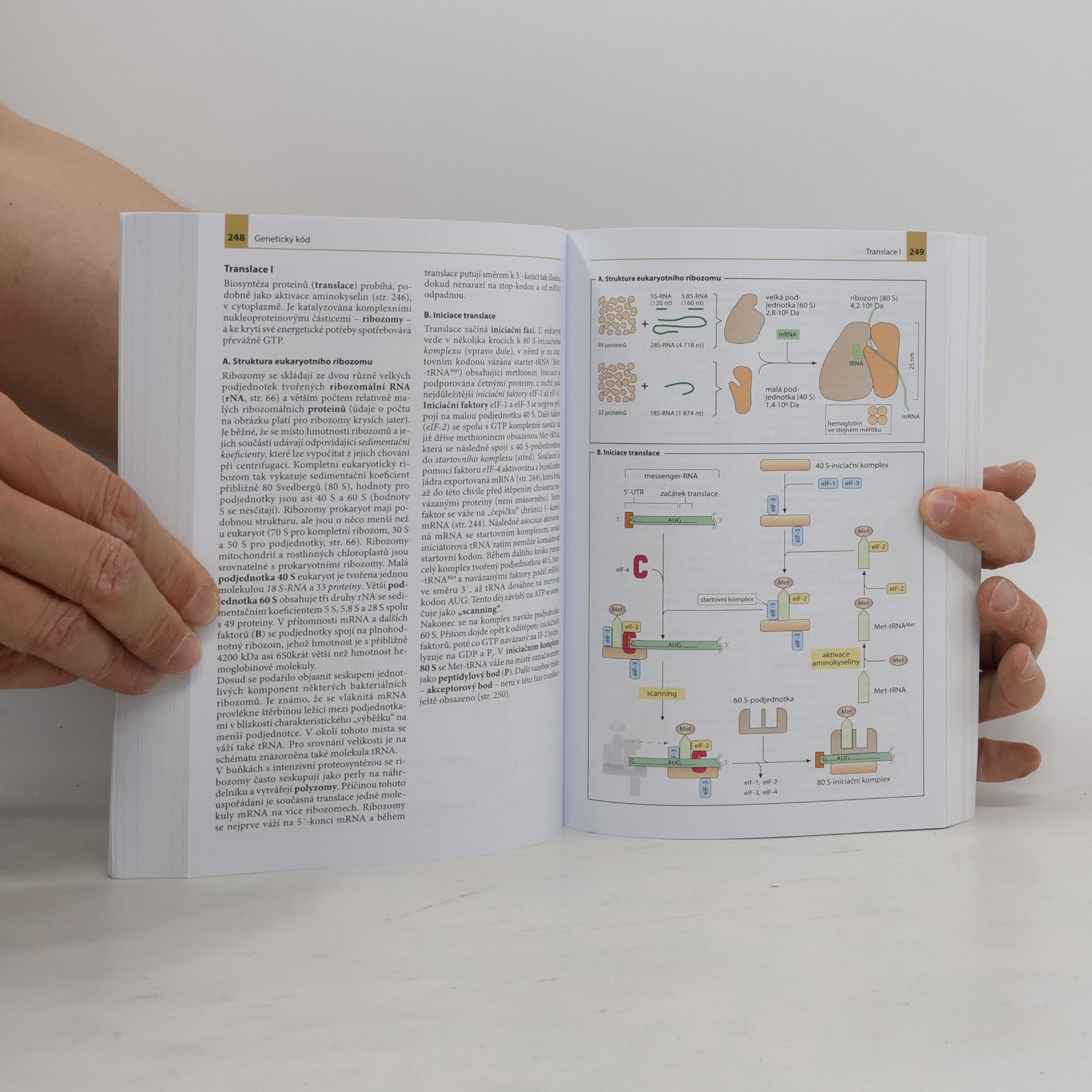 Jan Koolman Barevný atlas biochemie