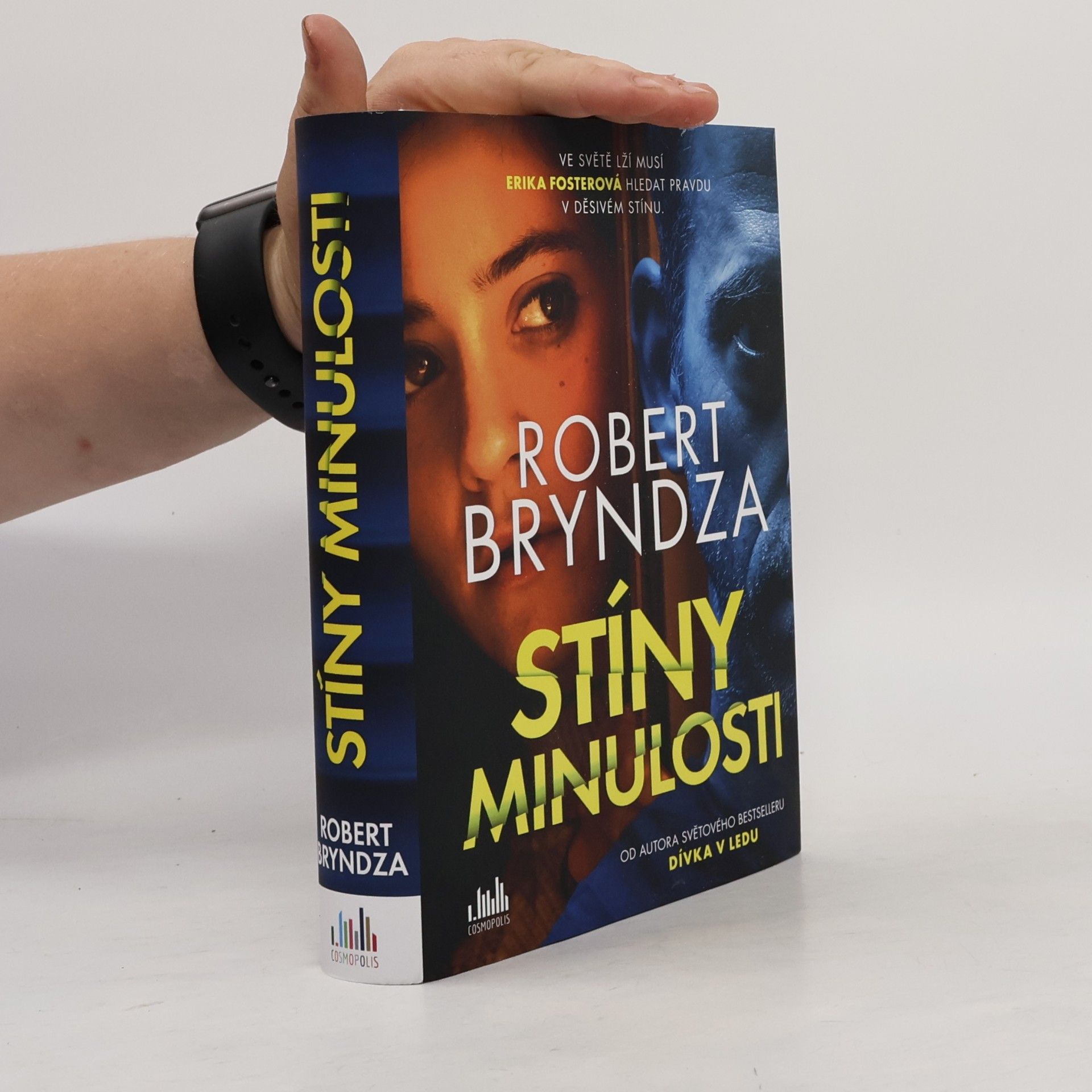 Robert Bryndza Stíny minulosti