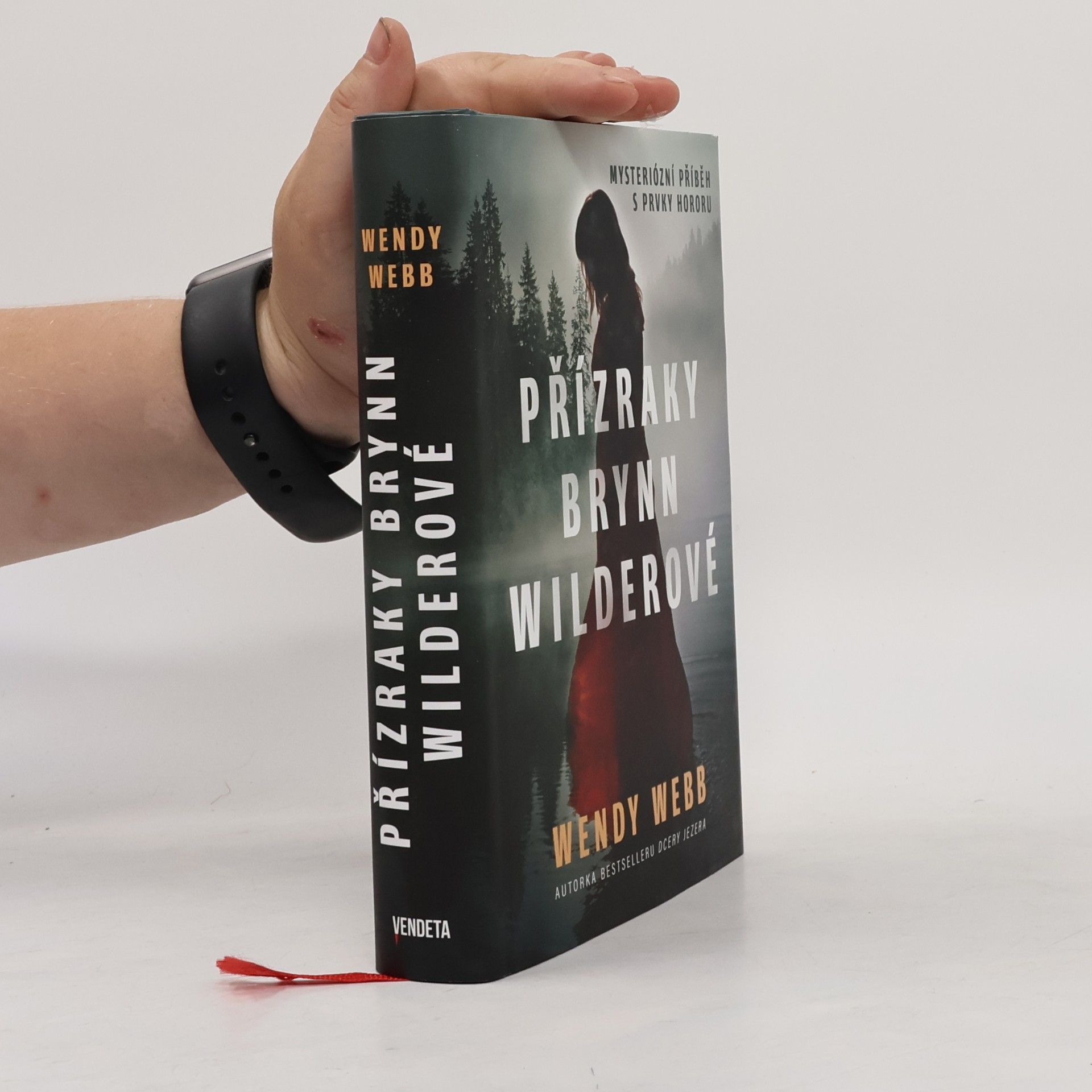 Wendy Webb Přízraky Brynn Wilderové