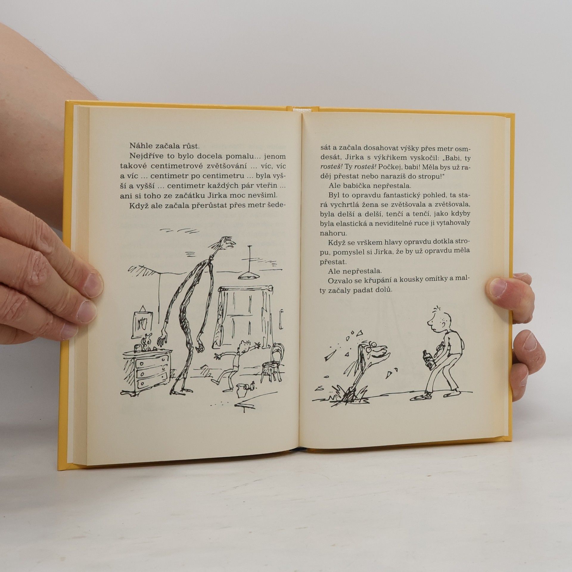 Roald Dahl Jirkova zázračná medicína