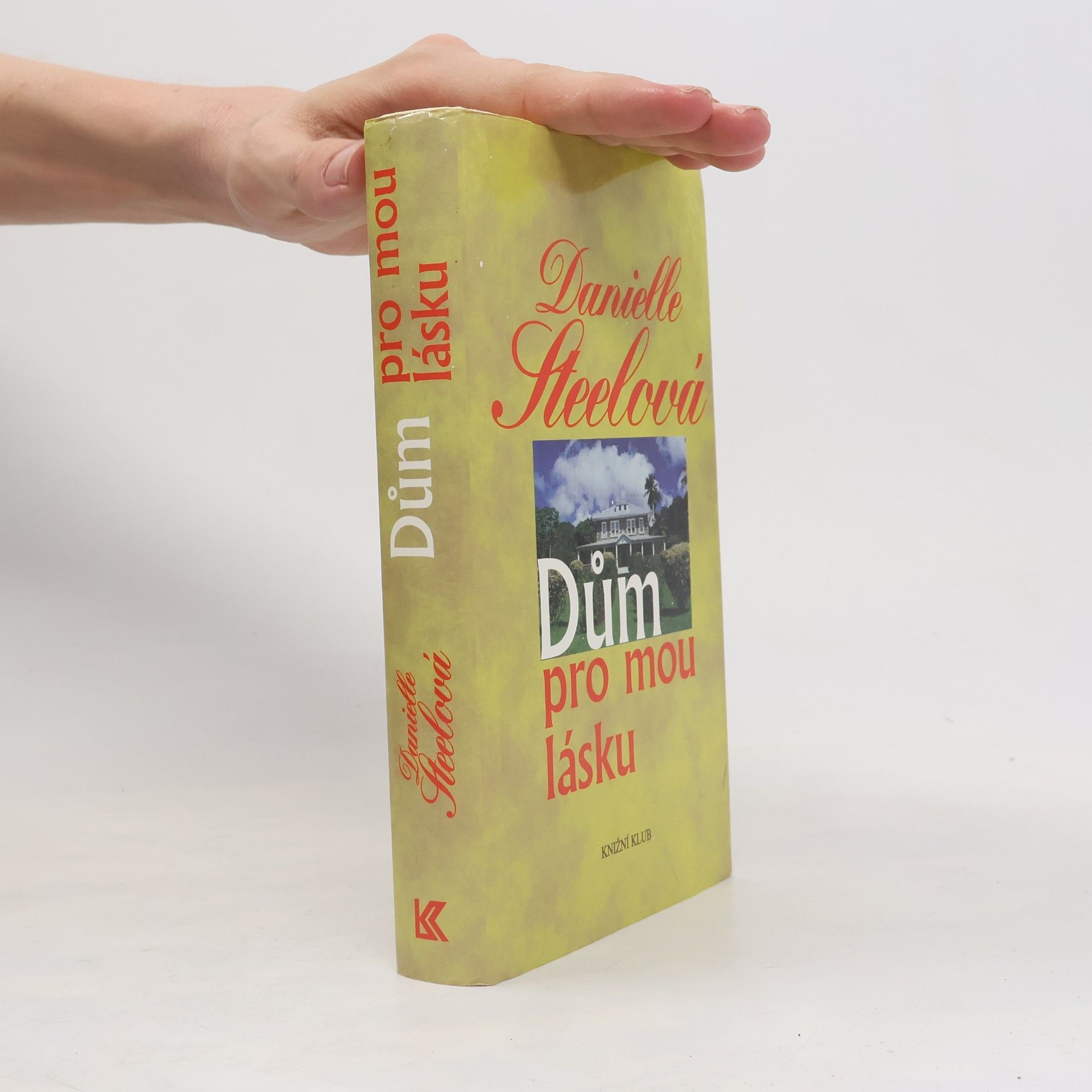 Danielle Steel Dům pro mou lásku
