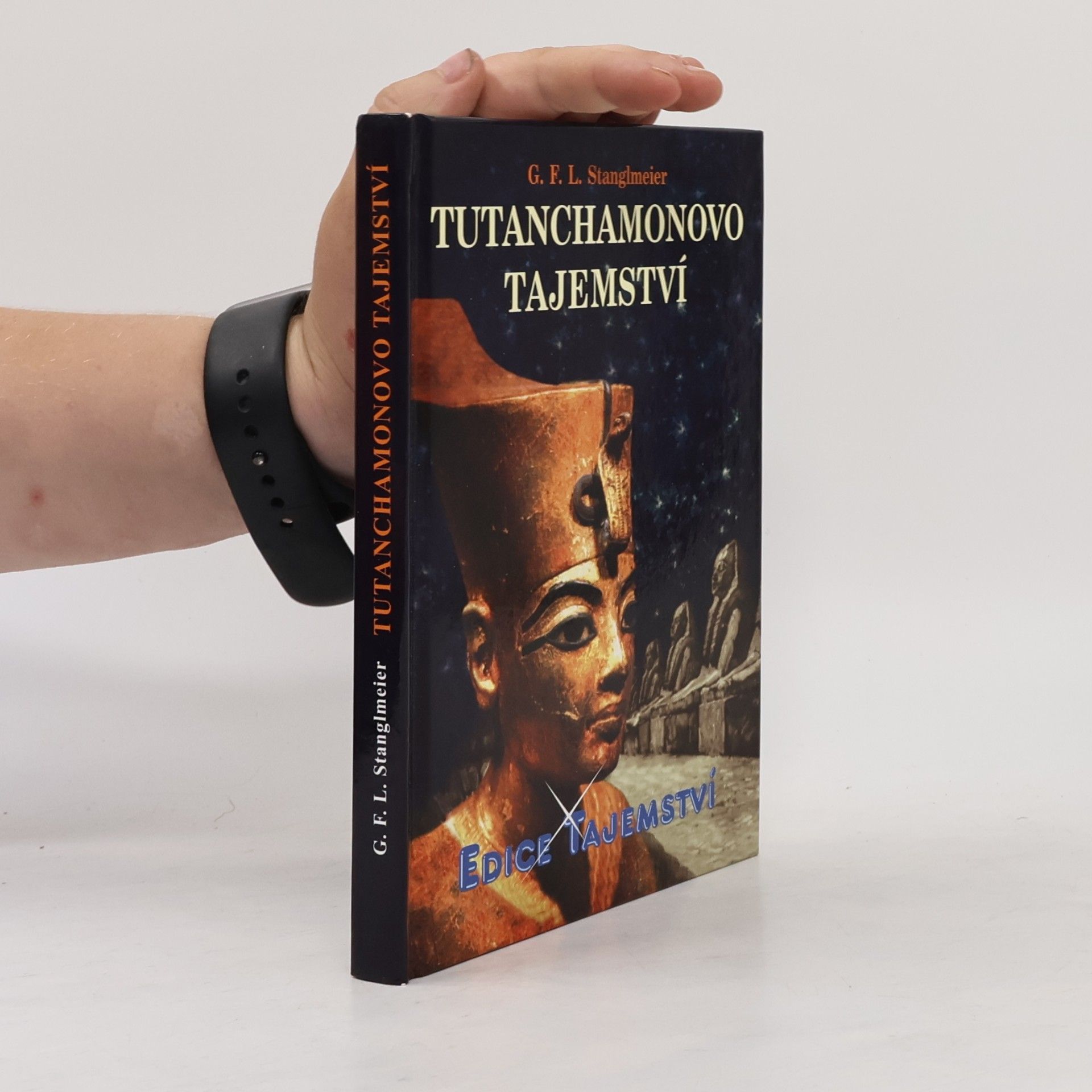 G. F. L. Stanglmeier Tutanchamonovo tajemství: šokující odhalení z Údolí králů