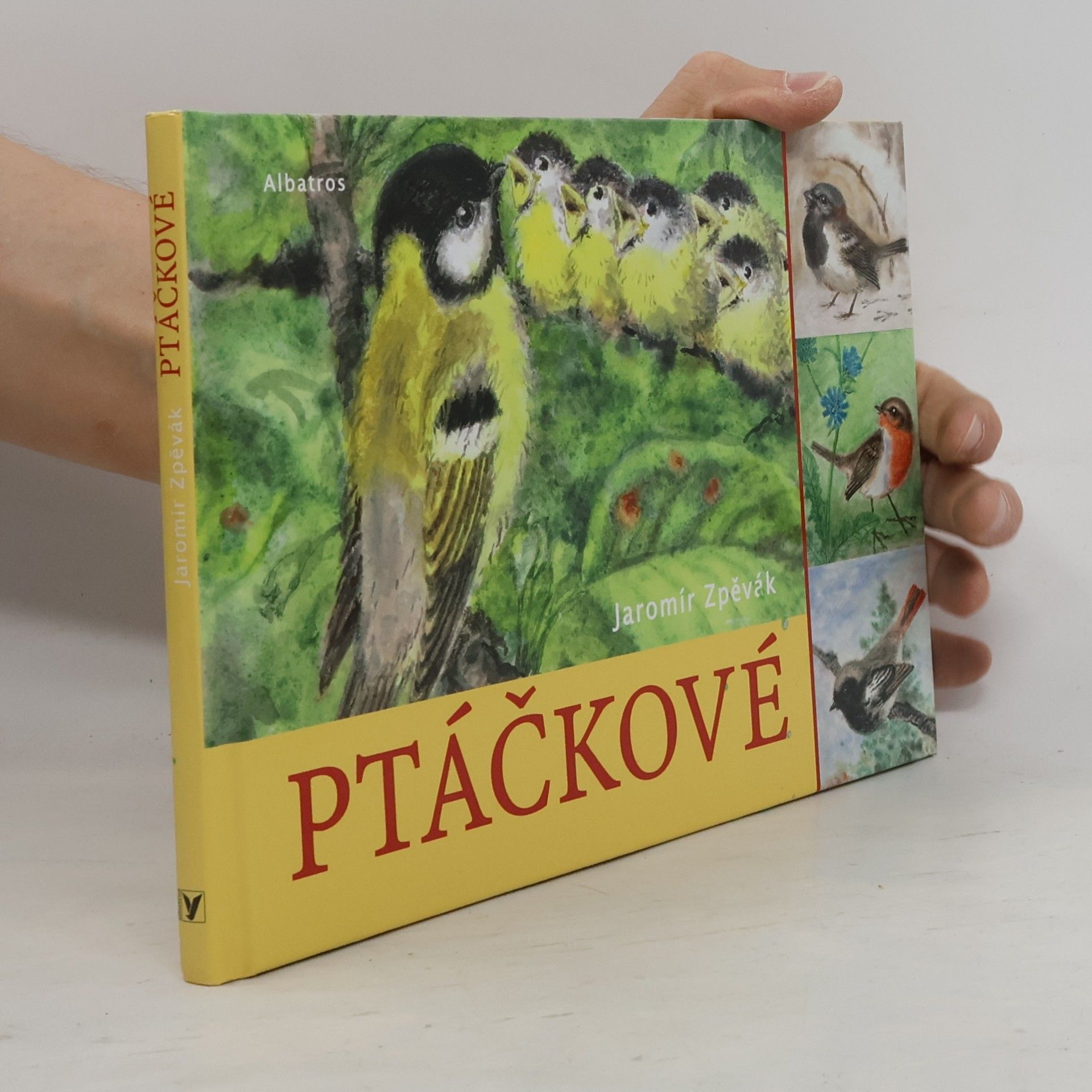 Ptáčkové