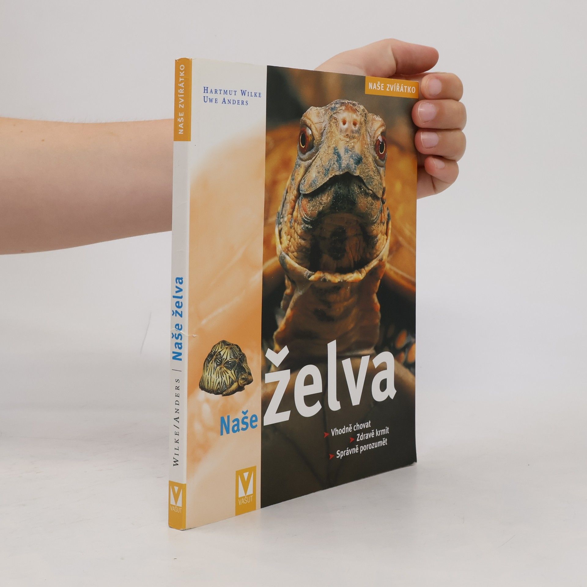 Naše želva