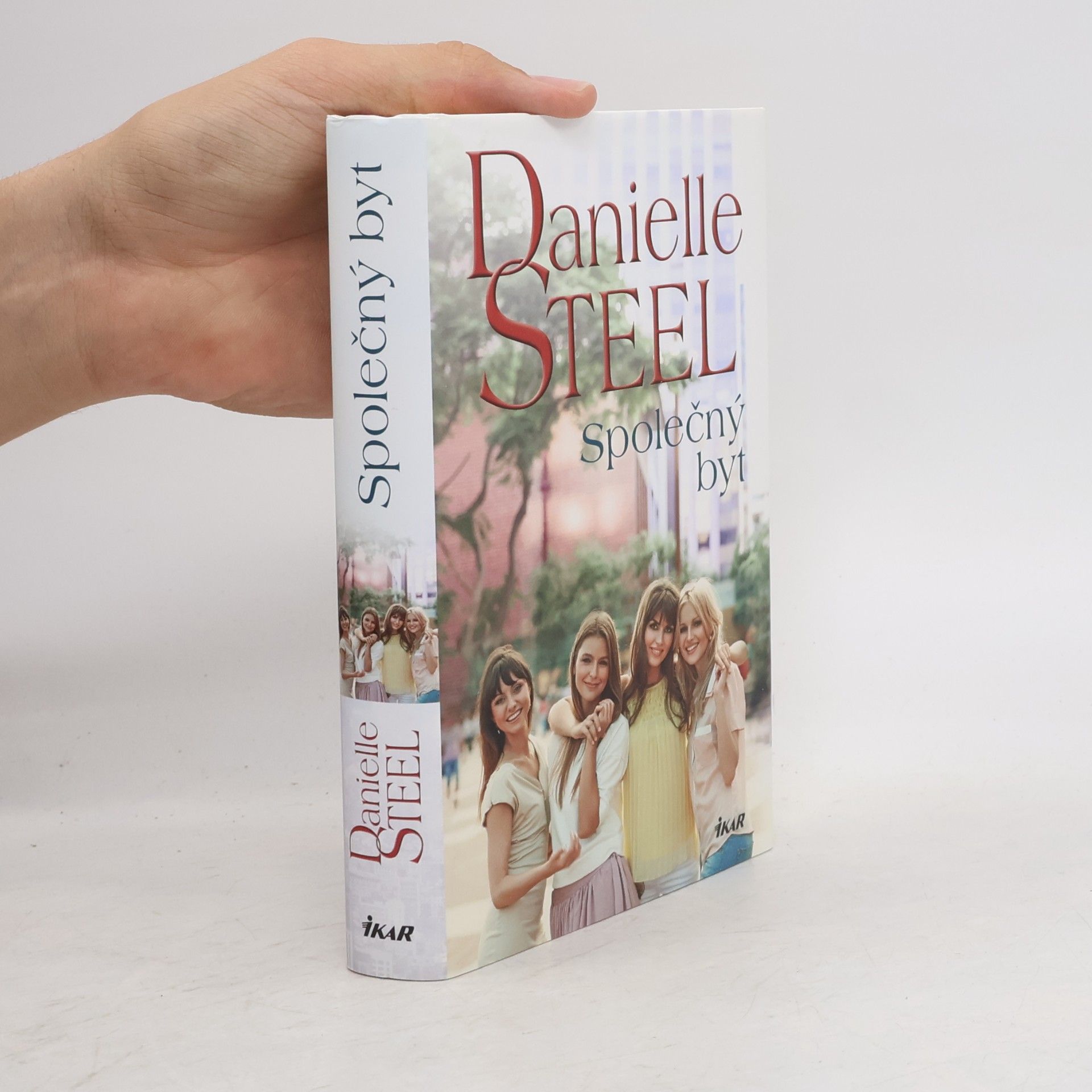 Danielle Steel Společný byt