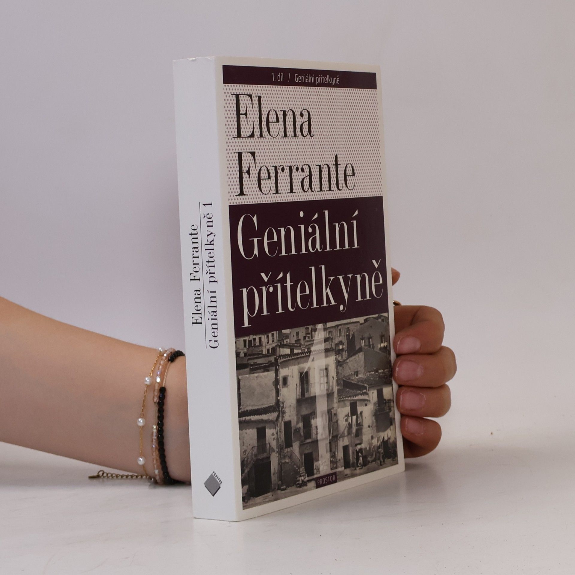 Elena Ferrante Geniální přítelkyně 1. Dětství a dospívání