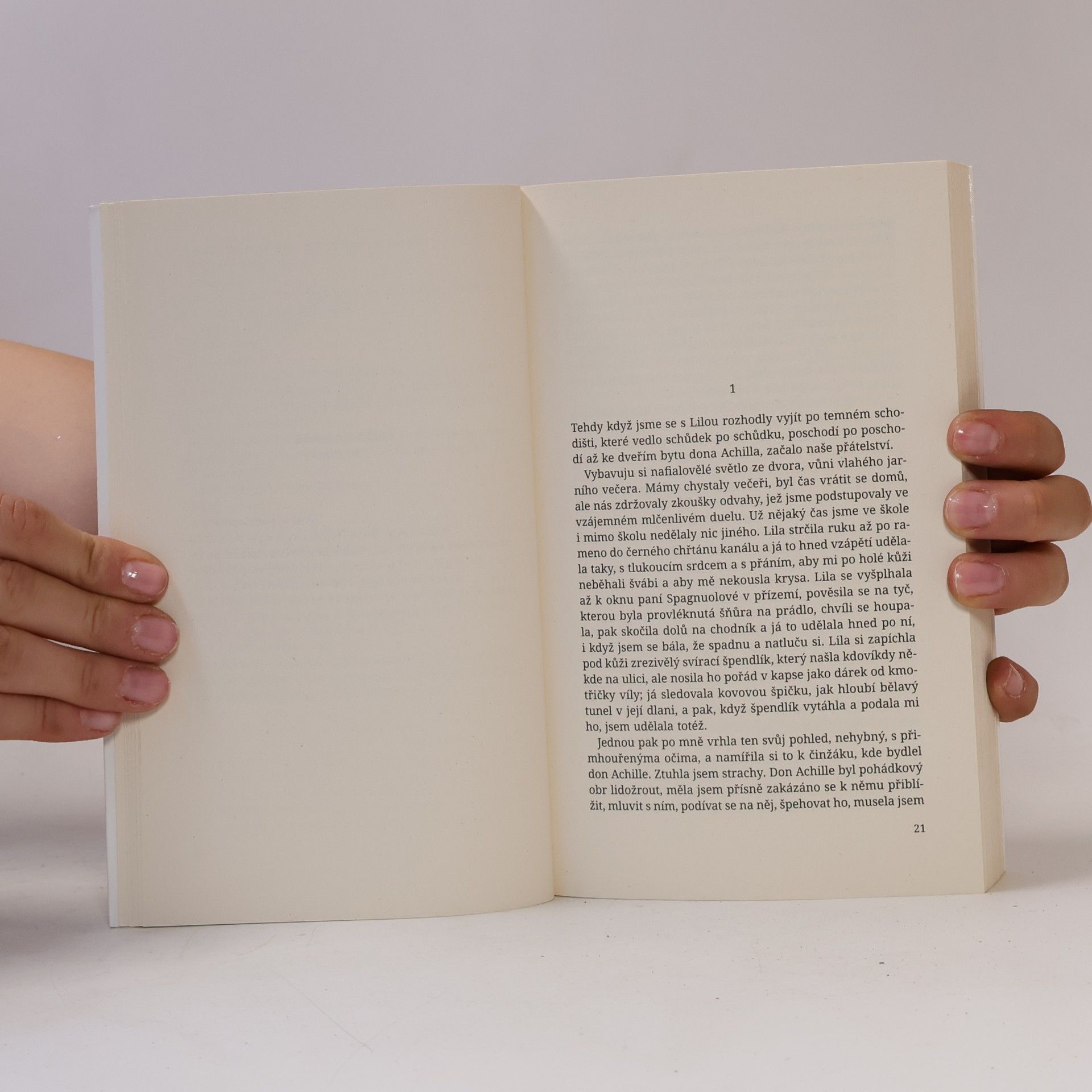 Elena Ferrante Geniální přítelkyně 1. Dětství a dospívání