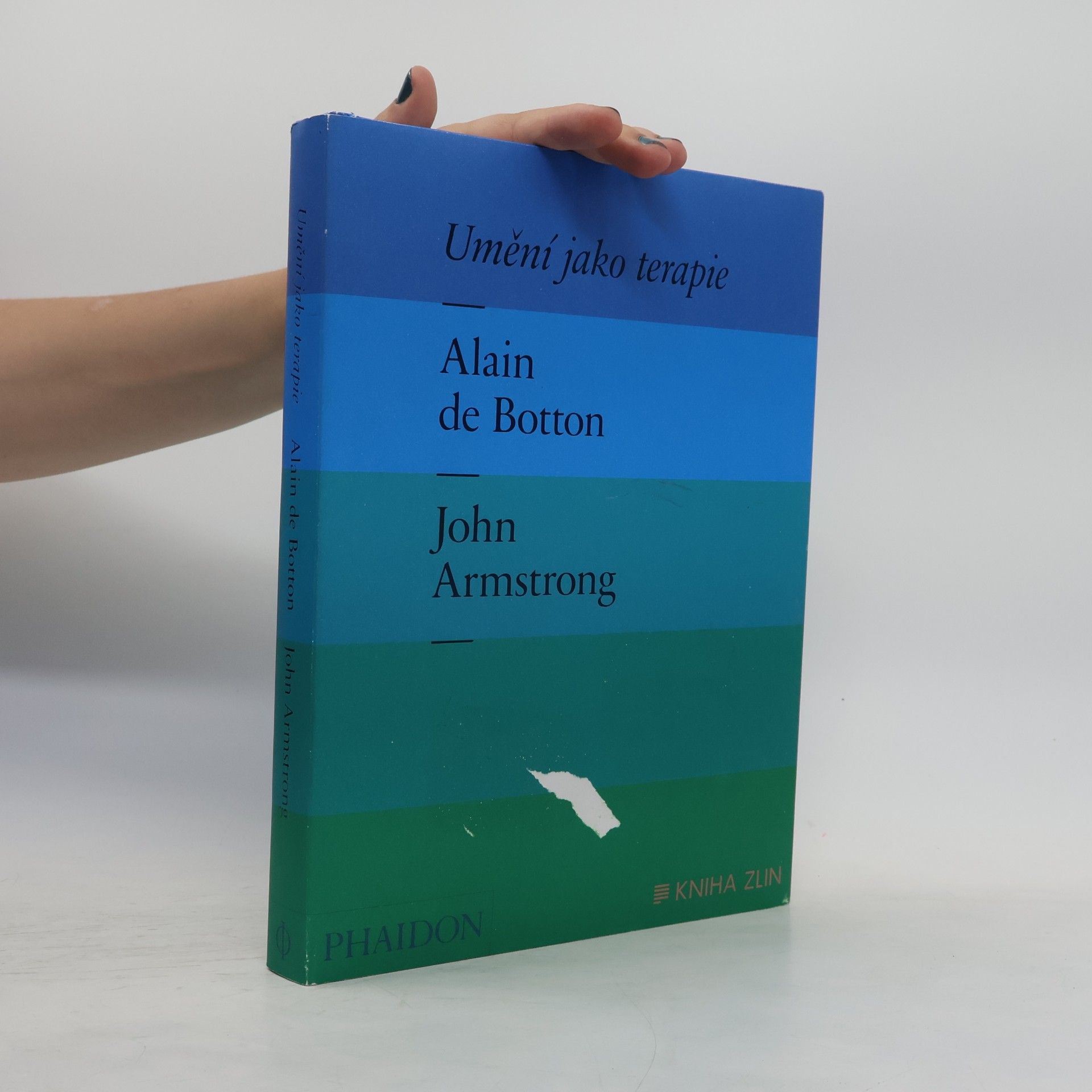 Alain de Botton Umění jako terapie