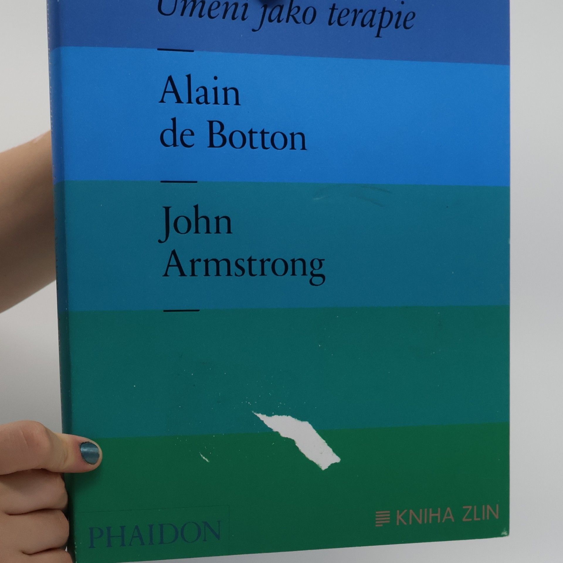 Alain de Botton Umění jako terapie