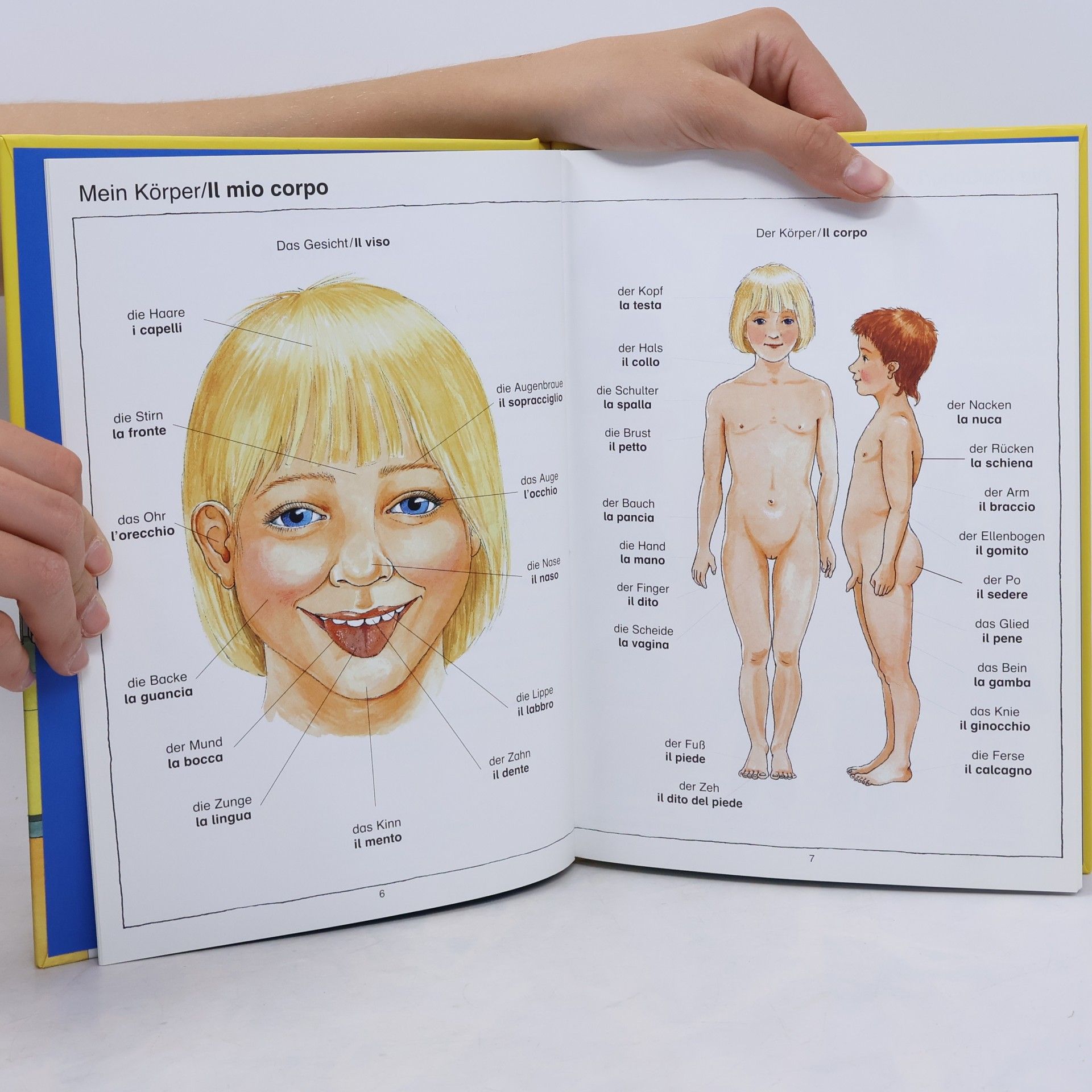 Angela Weinhold Mein Italienisch-Bildwörterbuch